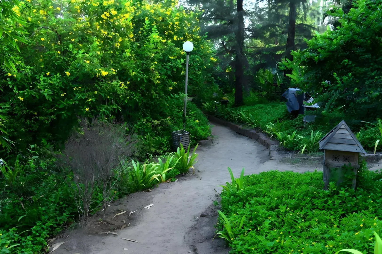 Exotica - The Beach Resort