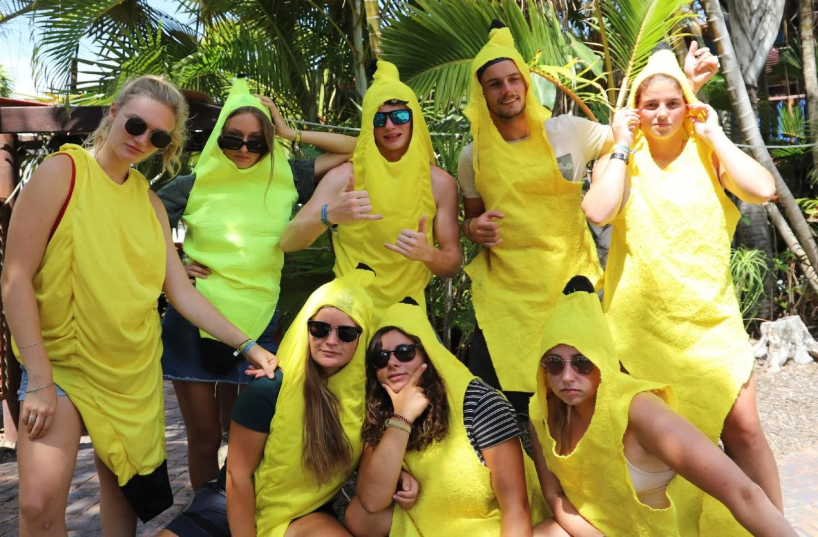 Cool Bananas Backpackers