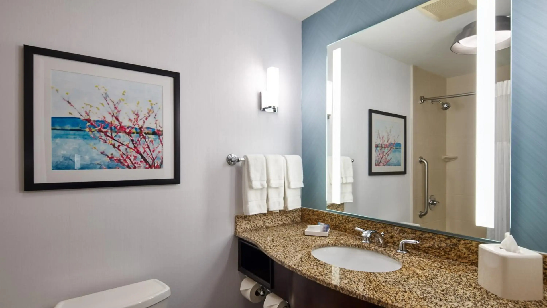 Hilton Garden Inn Merrillville