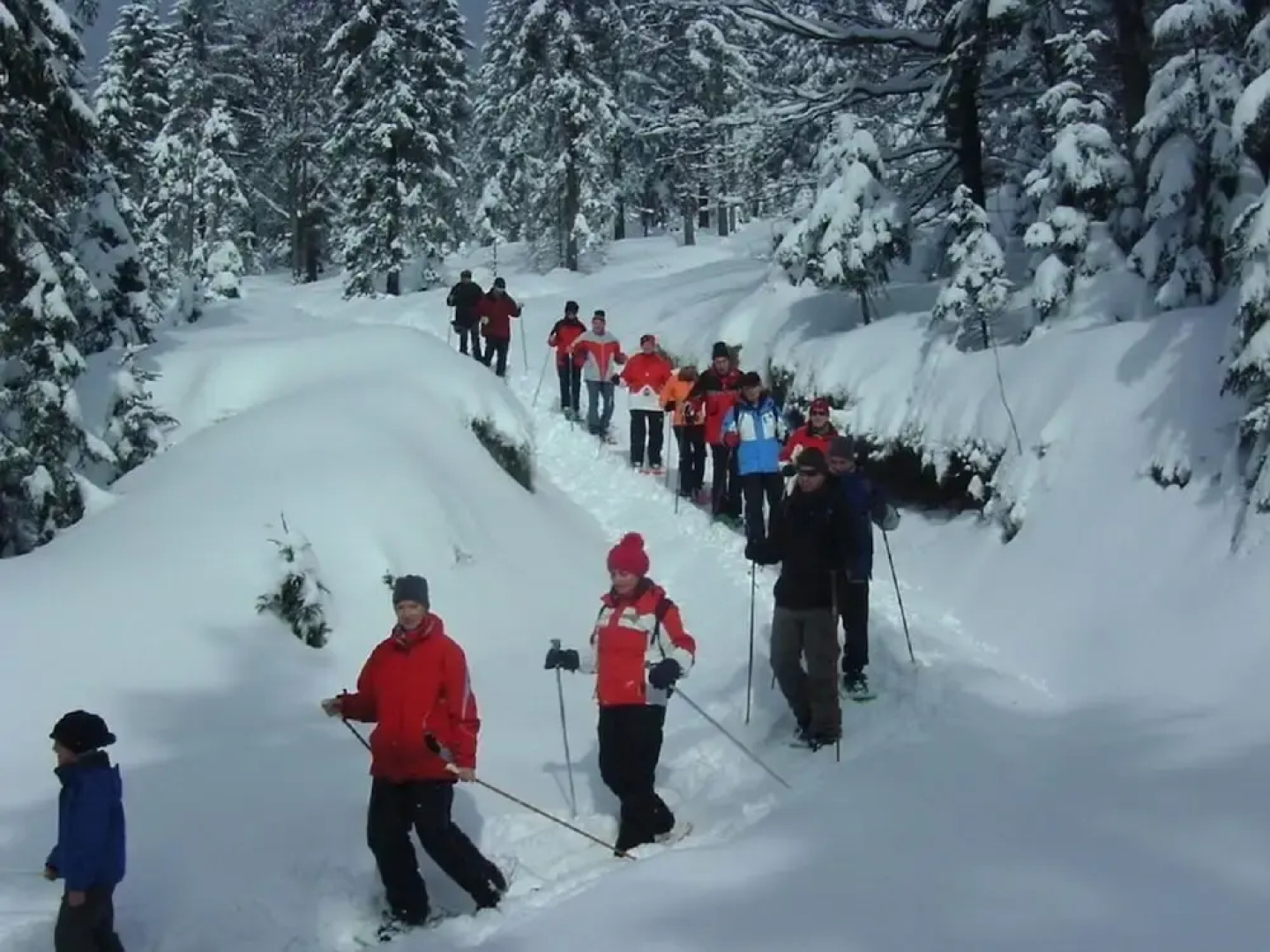 Pension Haus Waldesruh