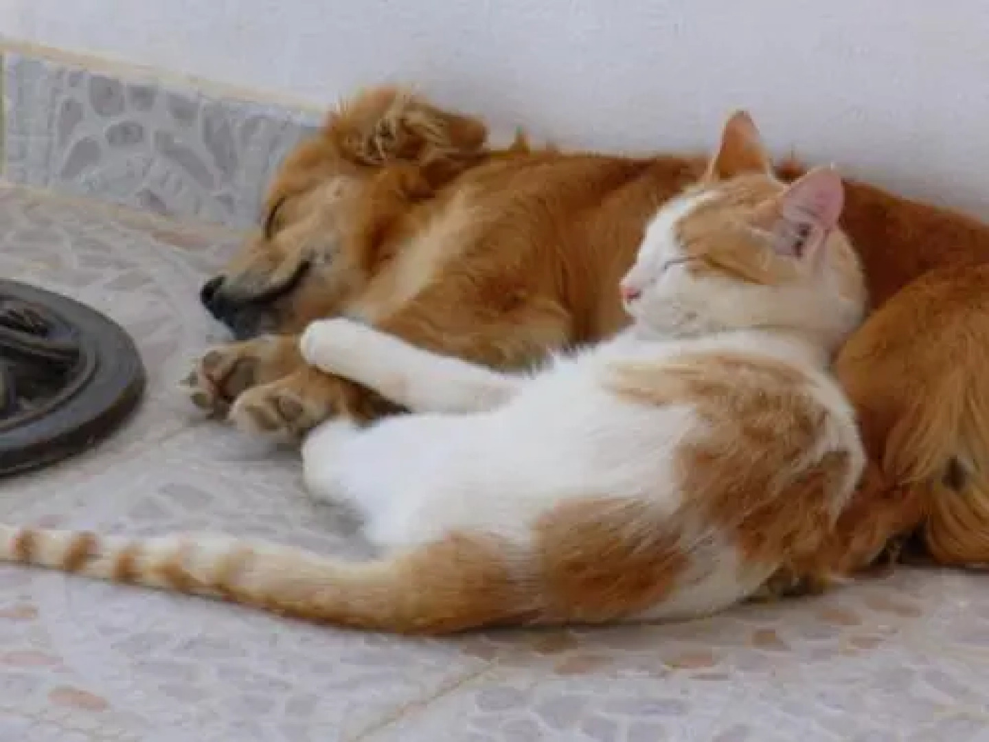 Horizon View Studios