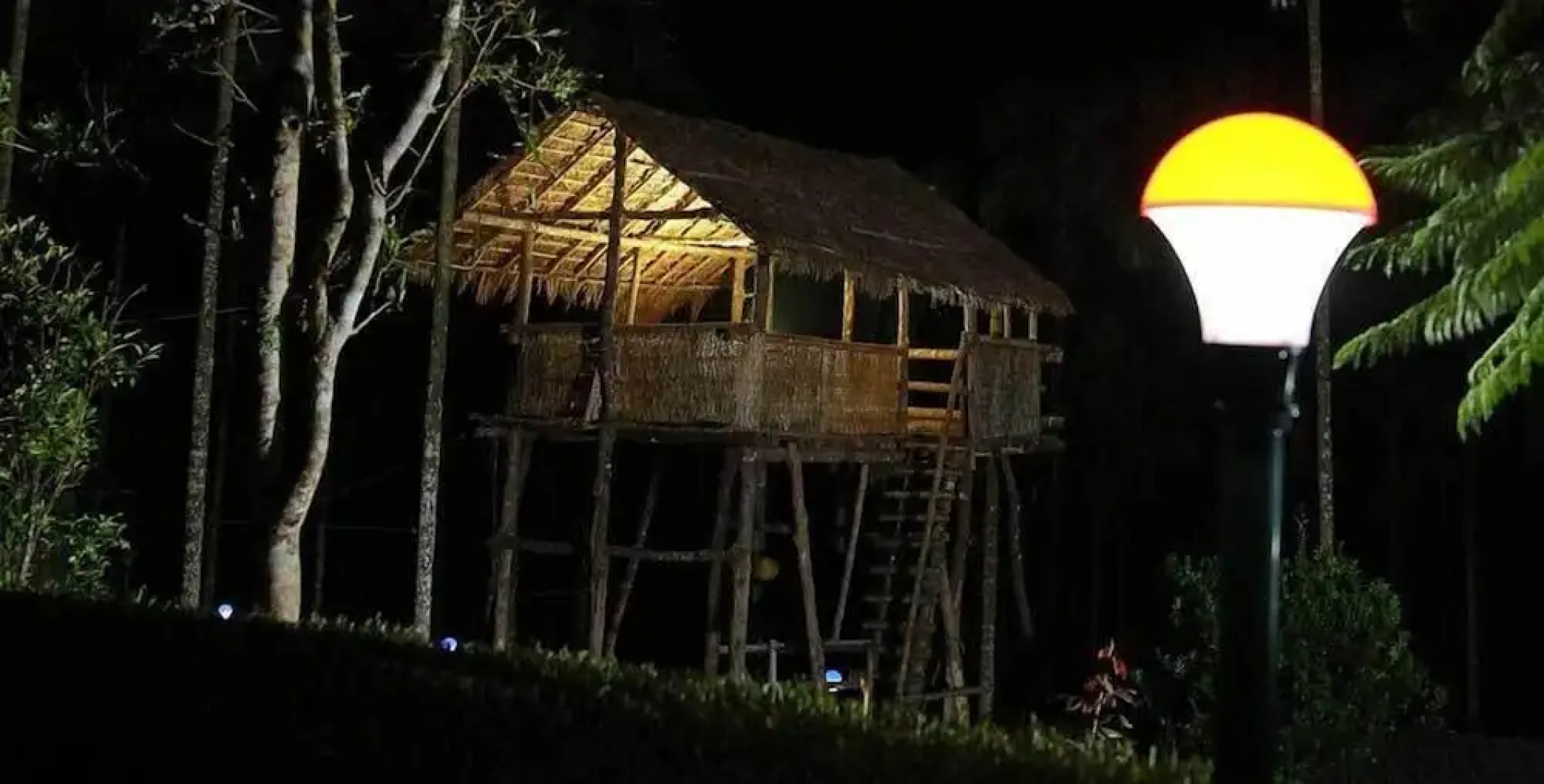 New Line Gods Land Resort