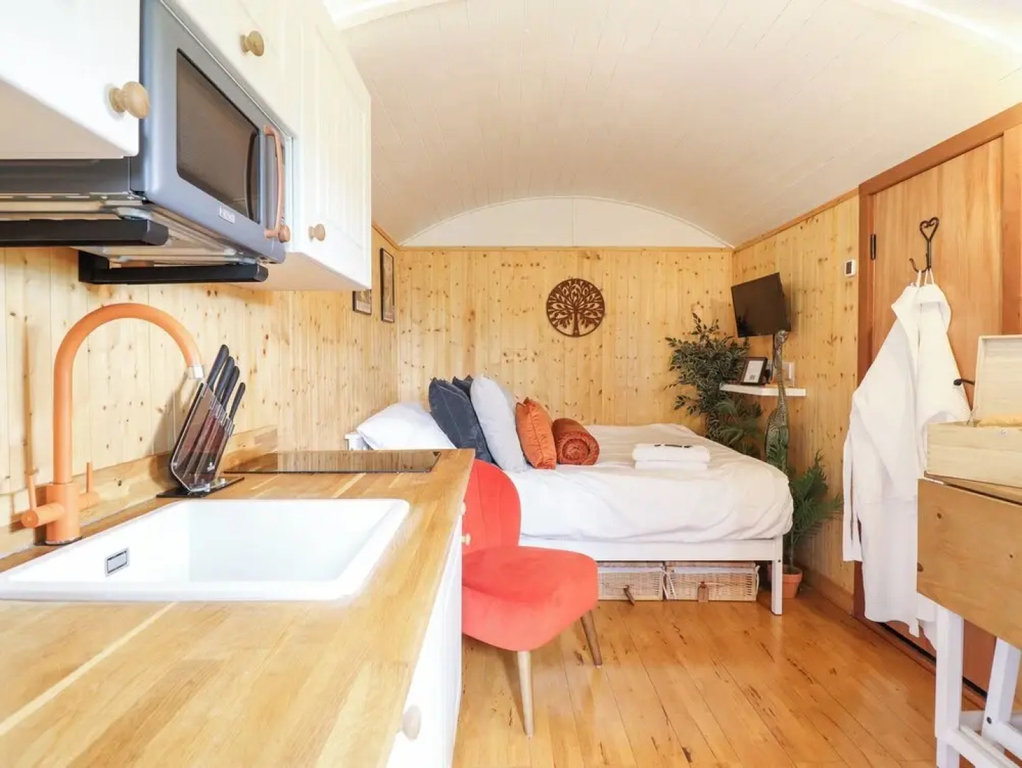 Red Kite at Wild Valley Huts