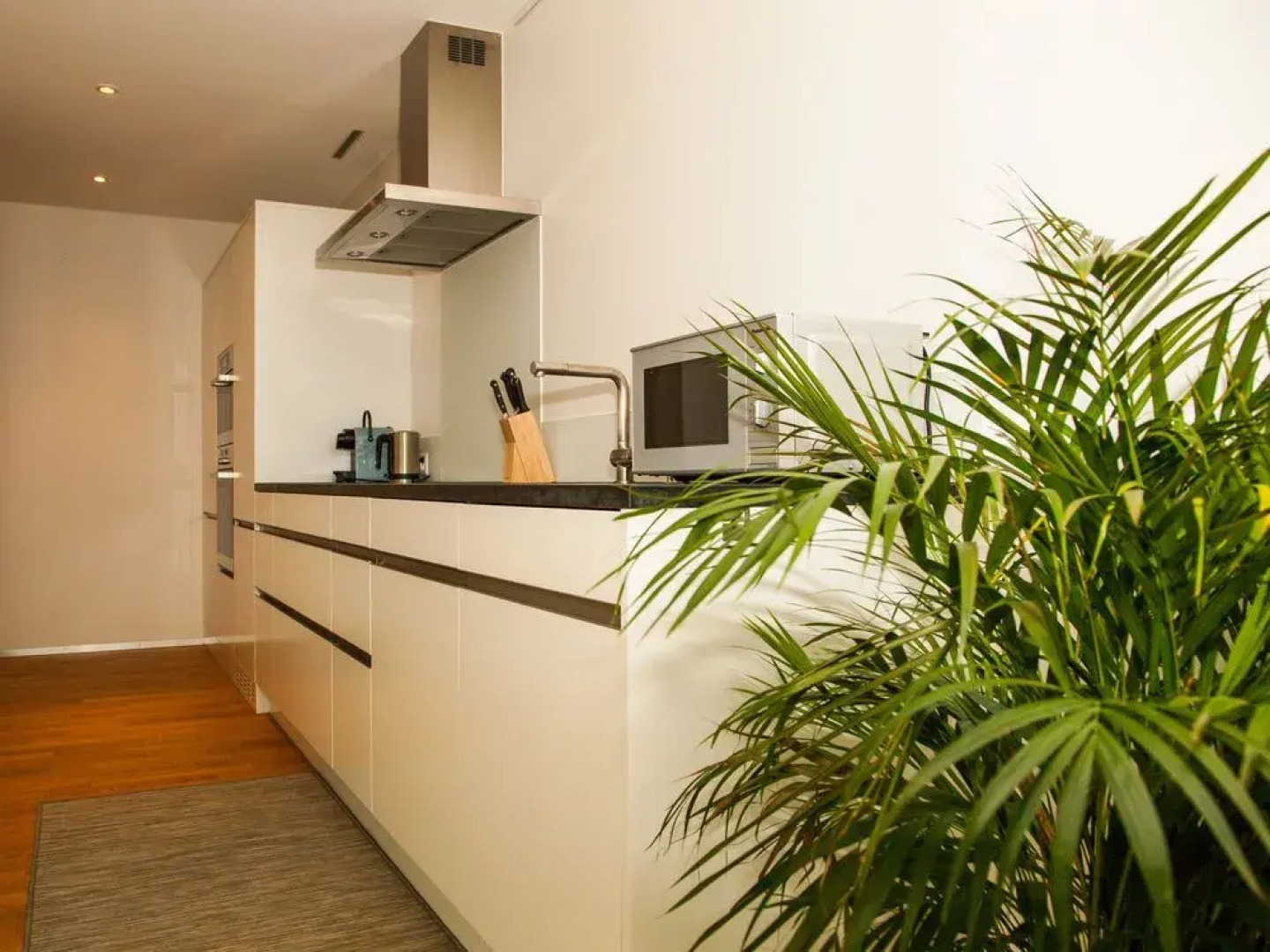 Penthouse Apartments Lakeside