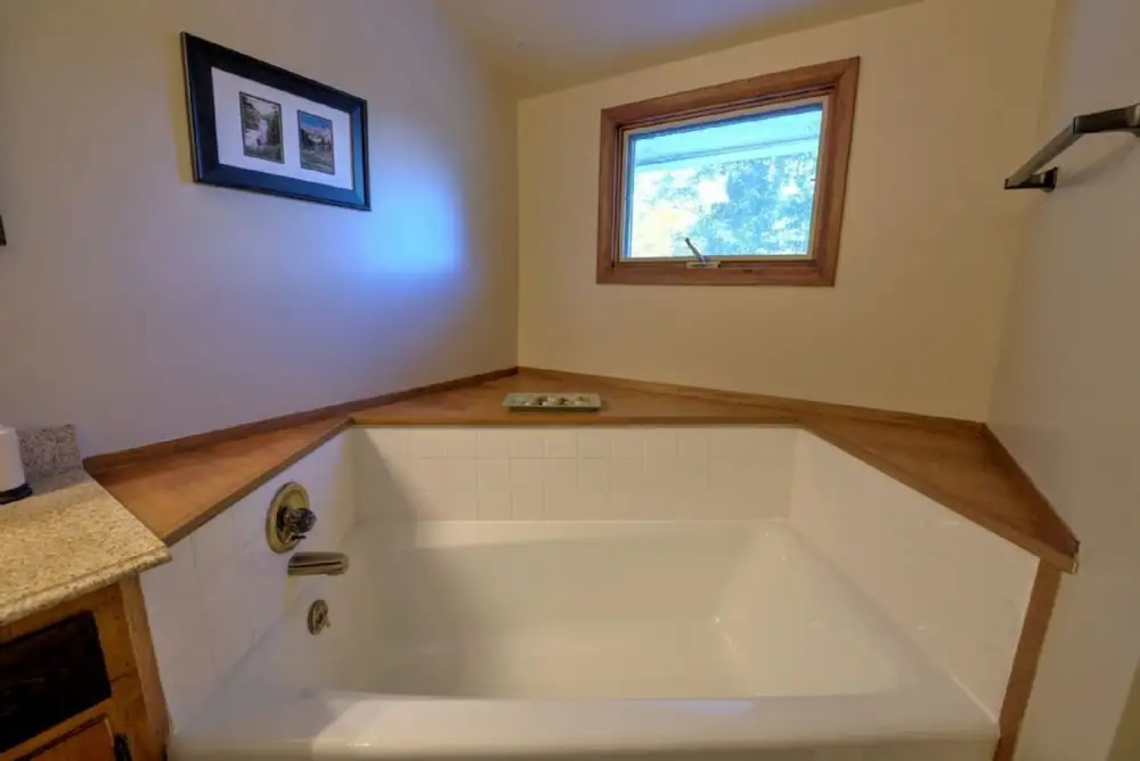 Wildflower Mountain Cottage - 3 Br Home