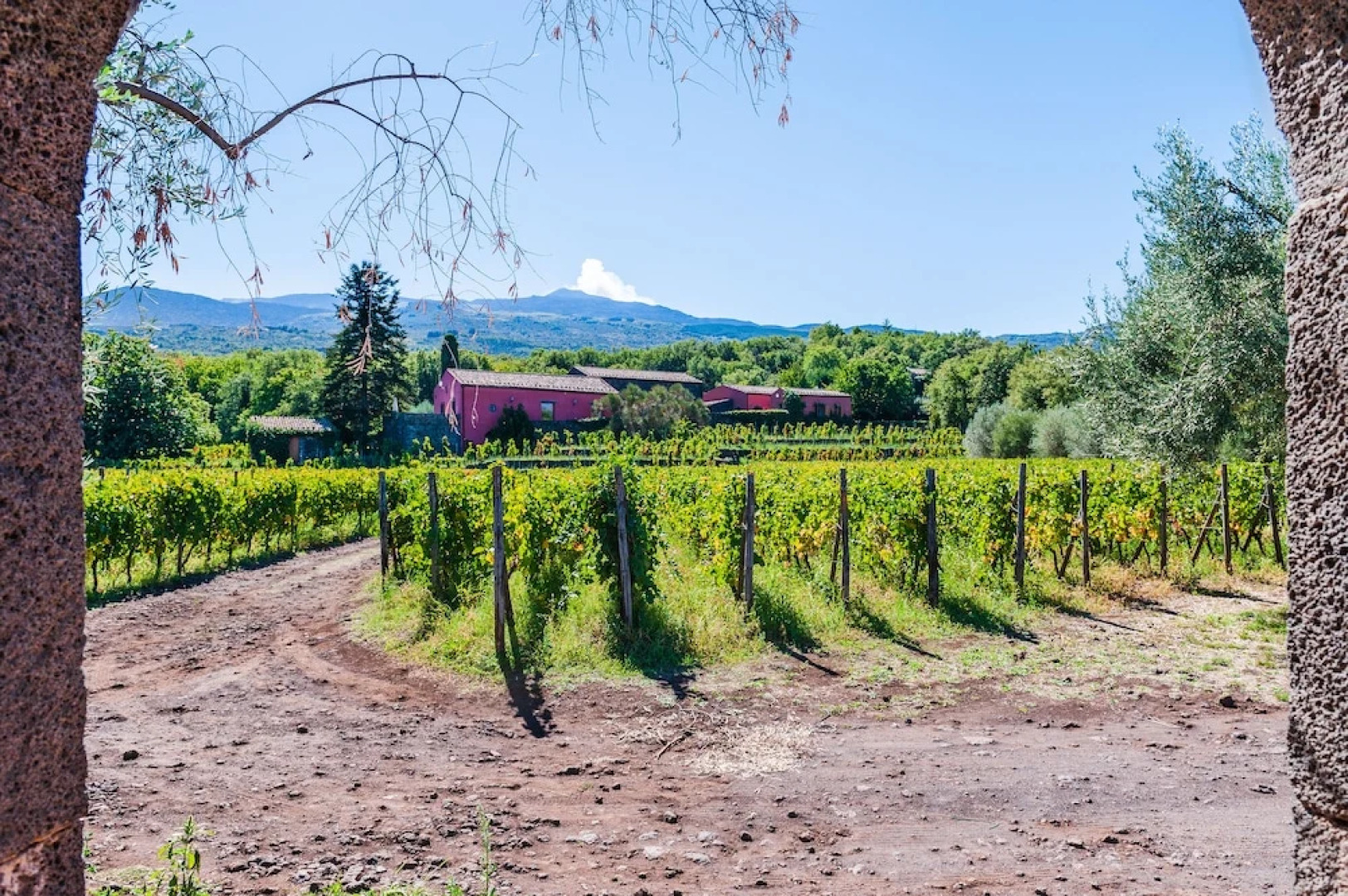Terrazze dell'Etna - Rooms & Apartments