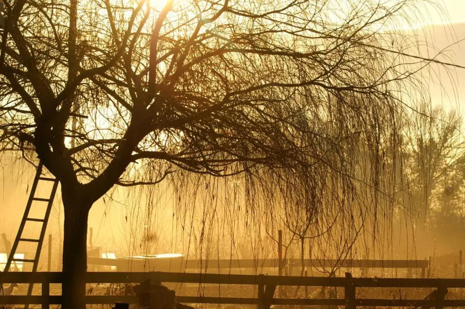 Maison Dhotes La Chevrerie