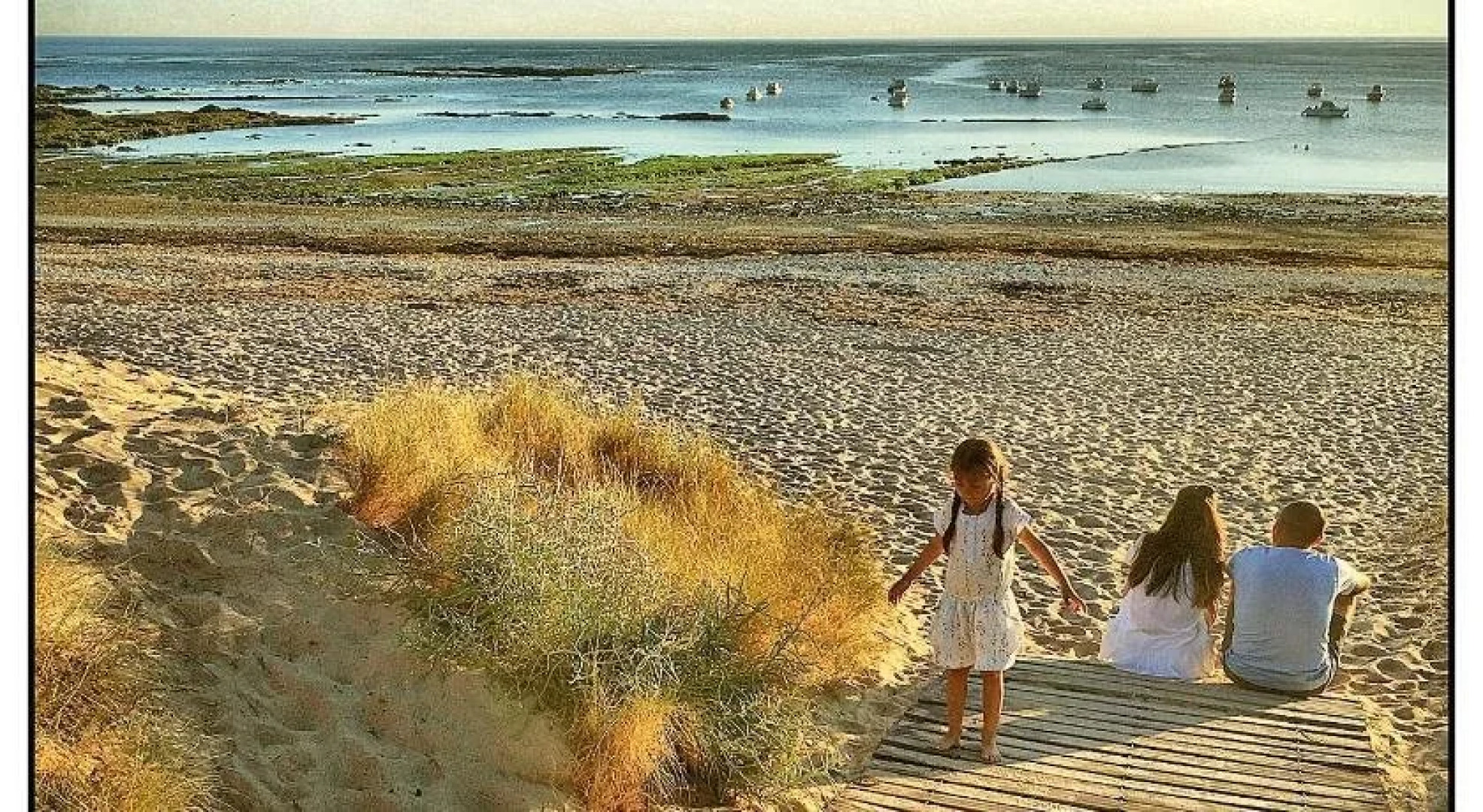 Hôtel De La Petite Plage