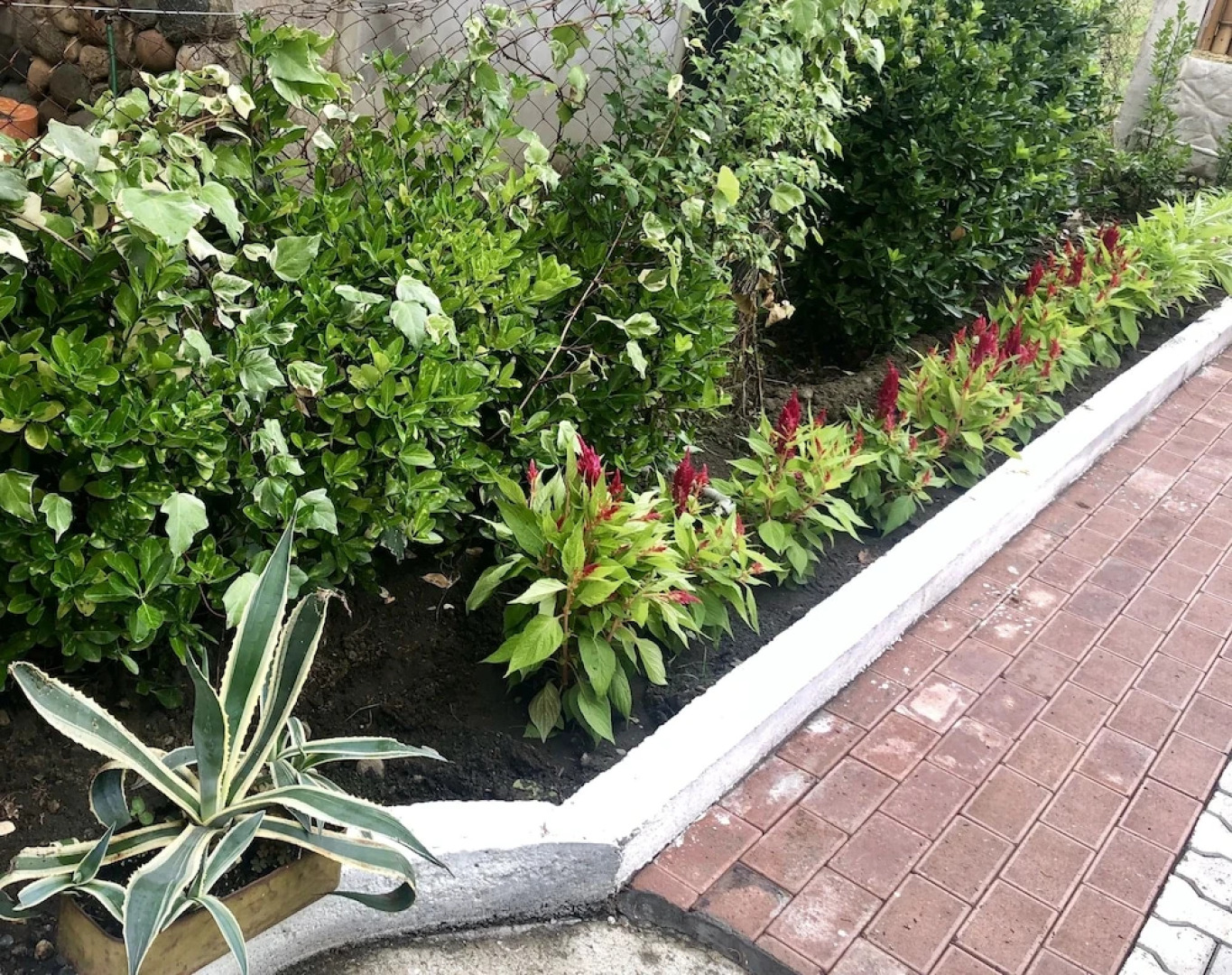 Отель «Рица»