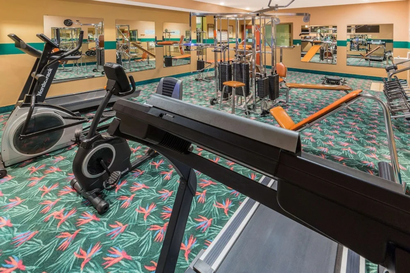 Best Western Black Bear Inn