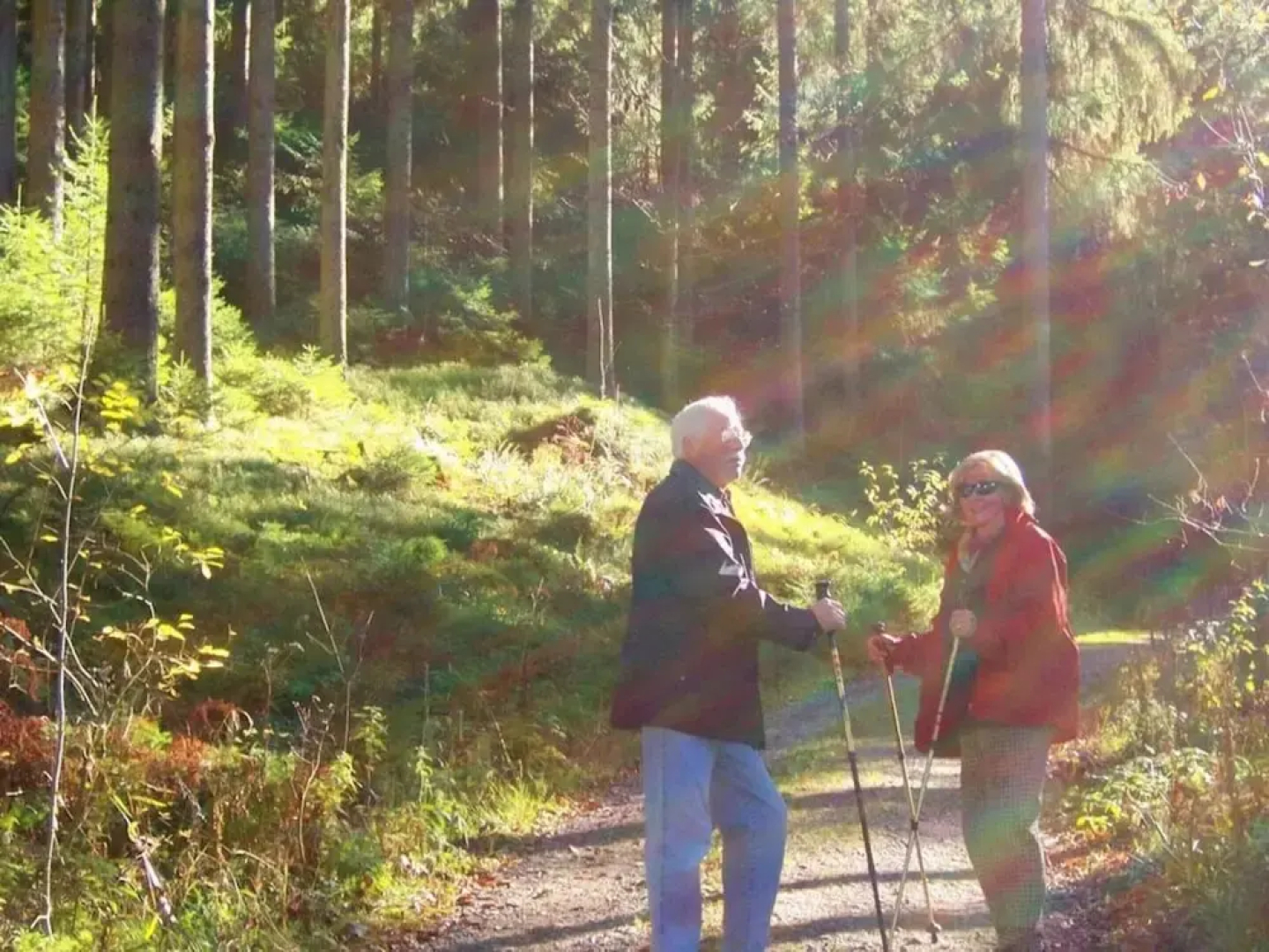 Kreuzwiesen Comfortable Holiday Residence