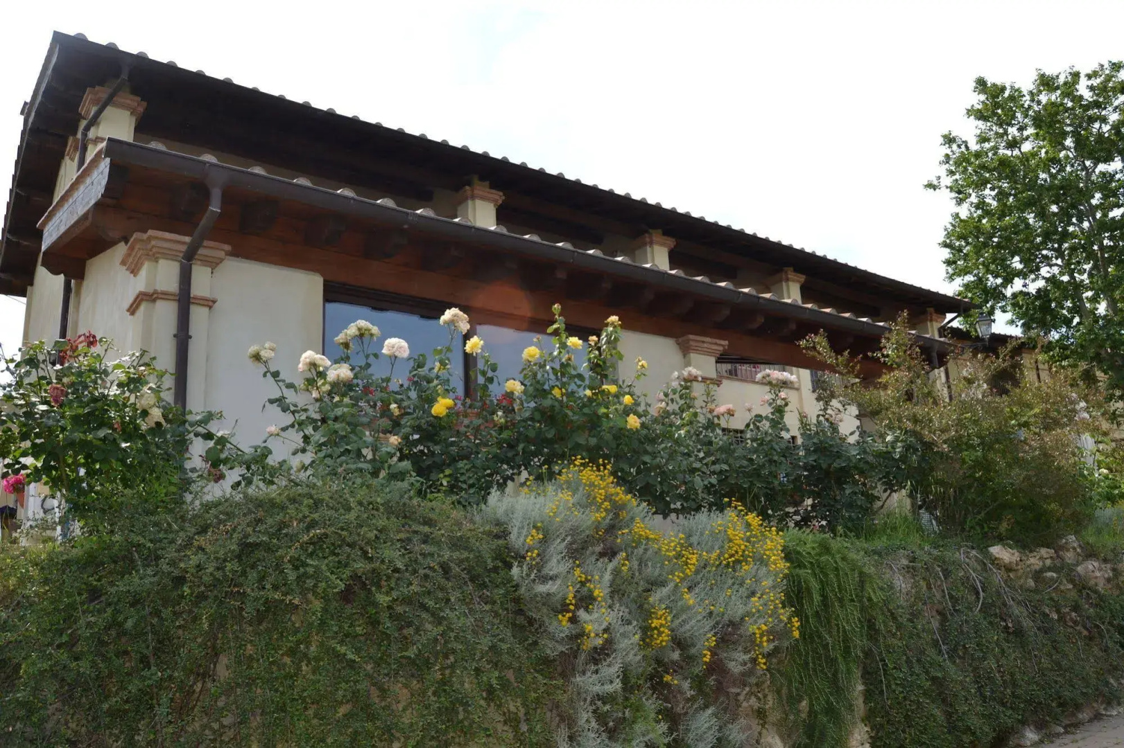 Tenuta Pizzogallo