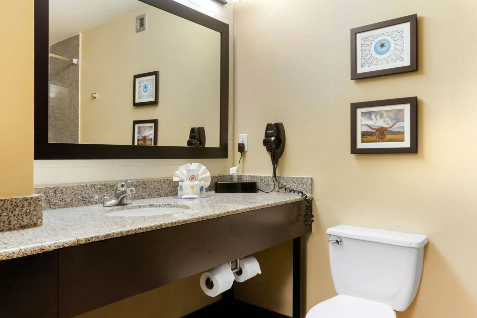 Comfort Inn & Suites Amarillo East