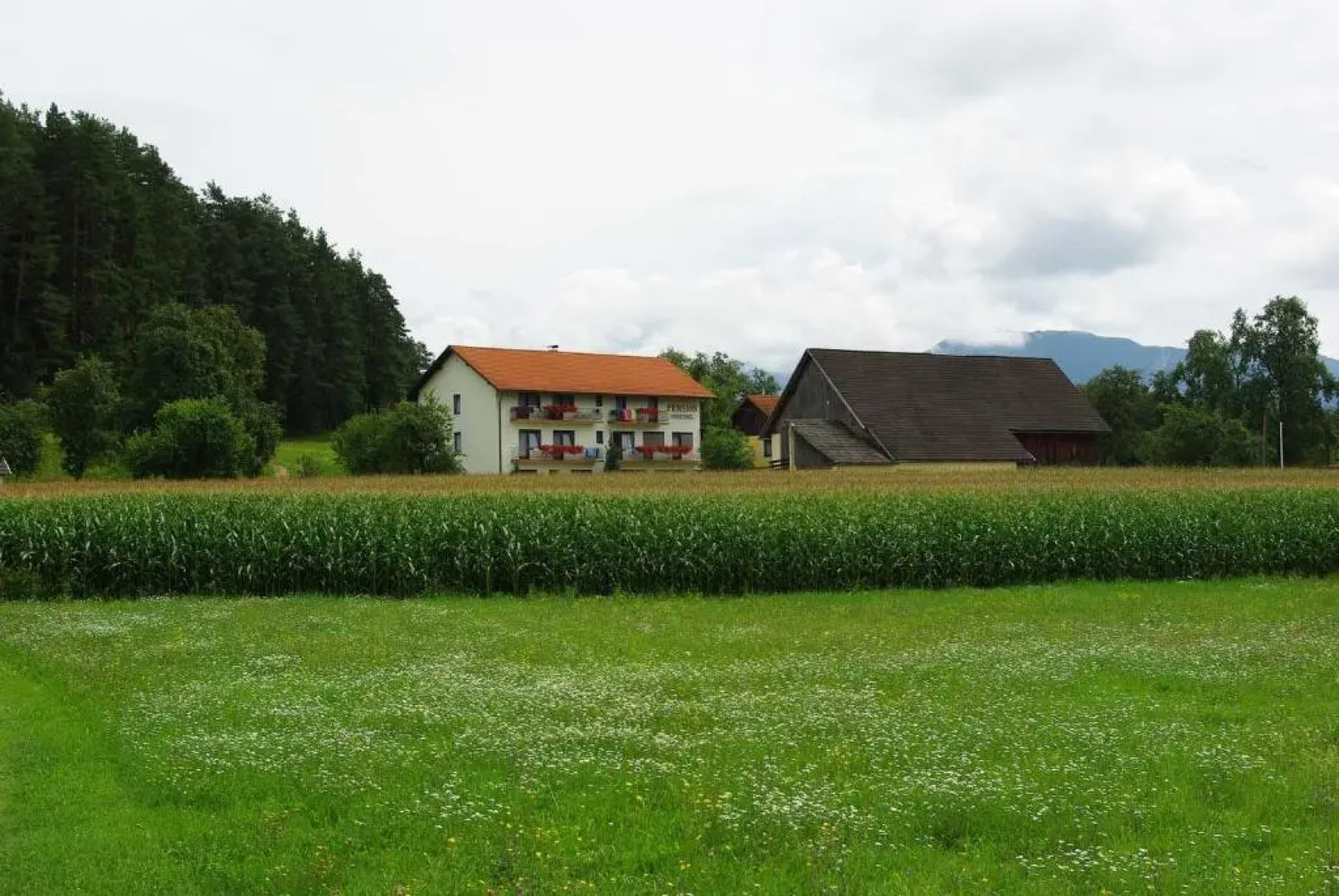 Pension Hribernig