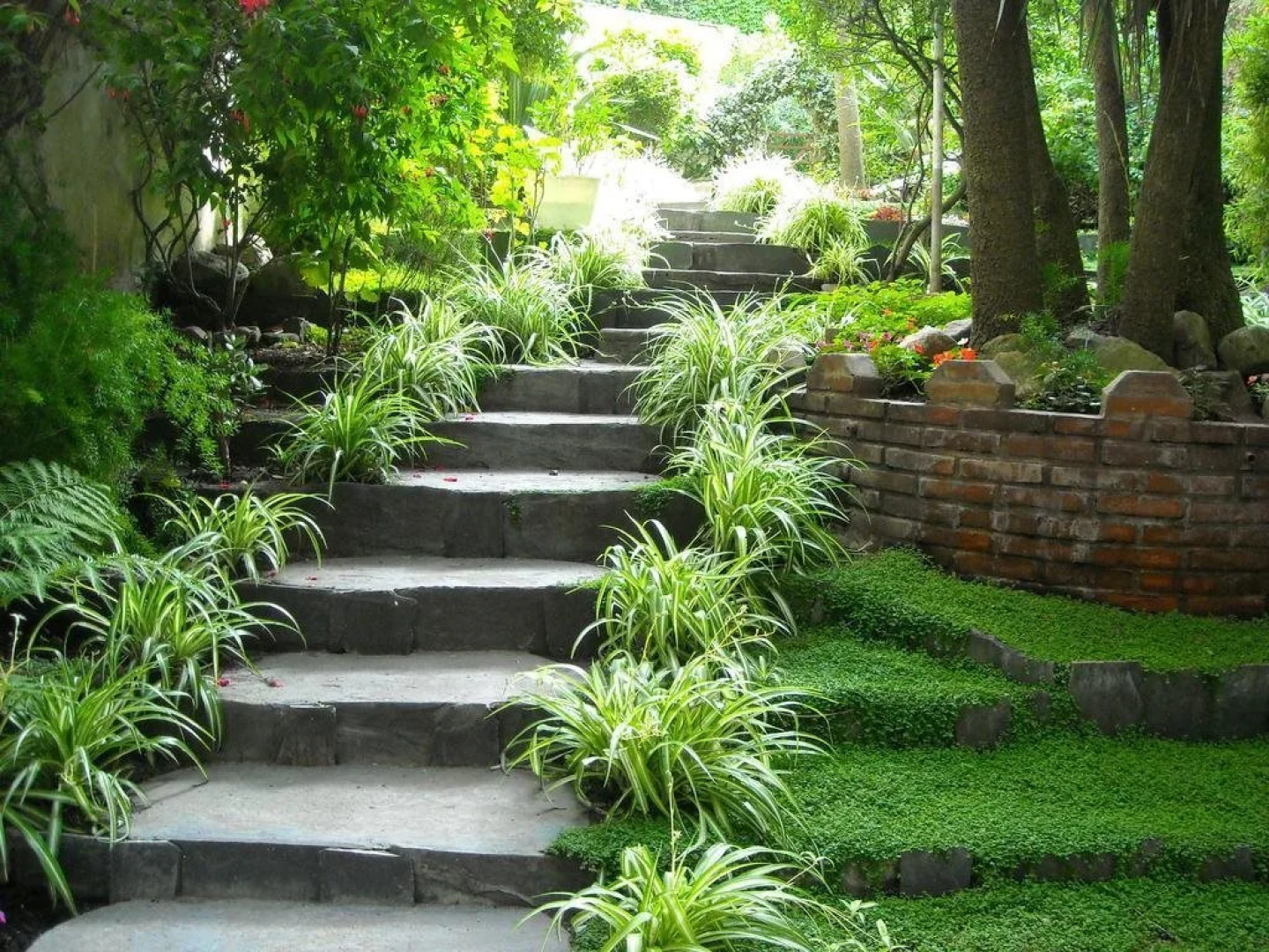 City Hotel Mar del Plata