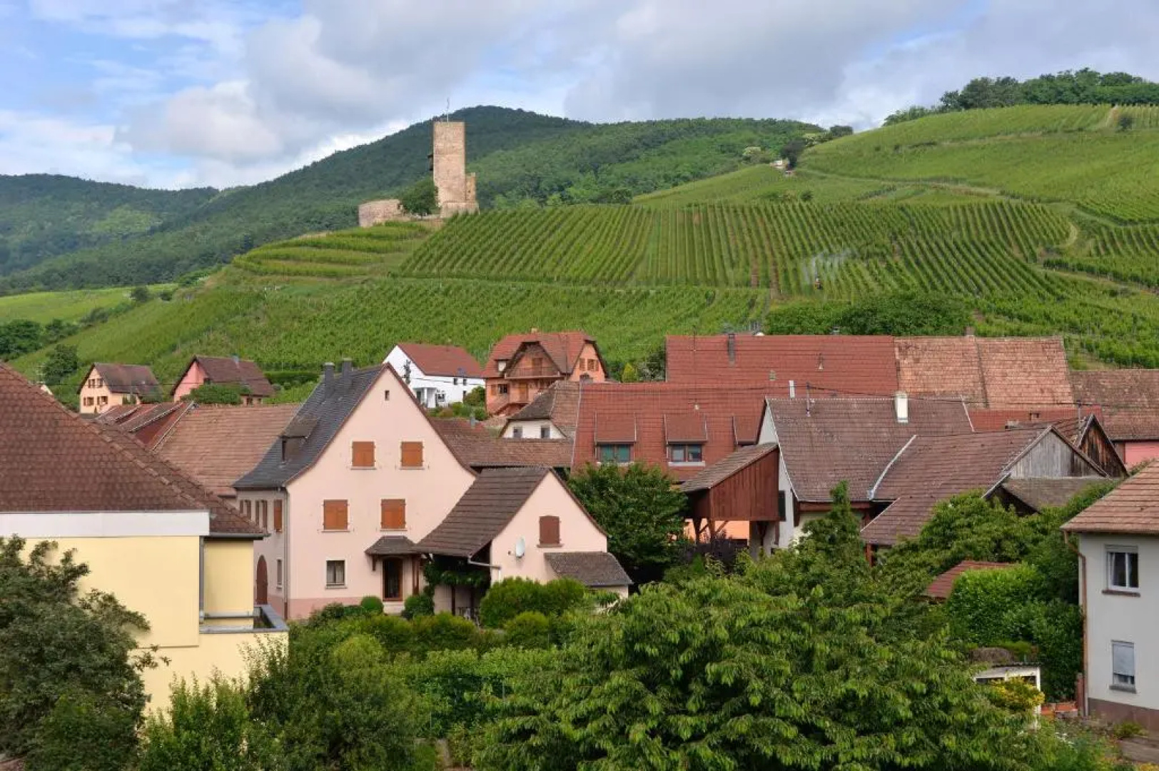 Gite Les Terrasses du Wineck