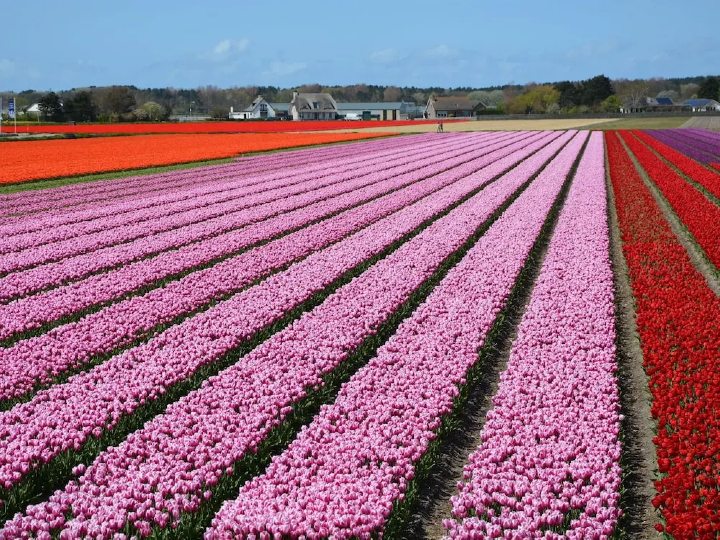 Serene Holiday Home in Noordwijk With Terrace