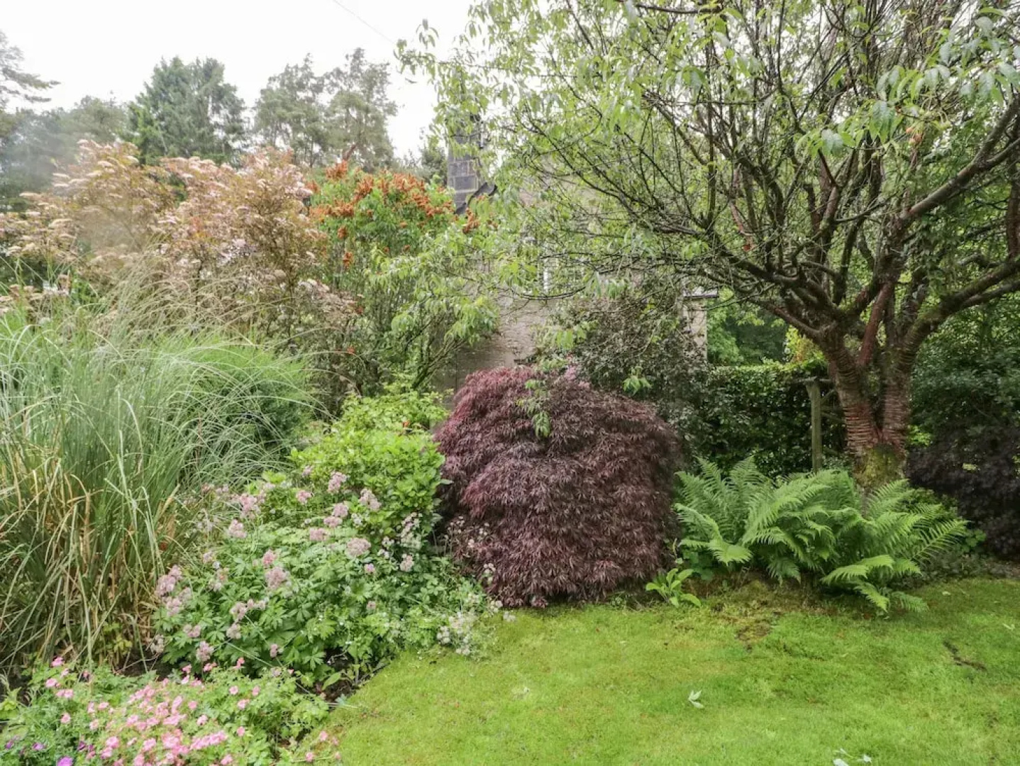 The Lodge