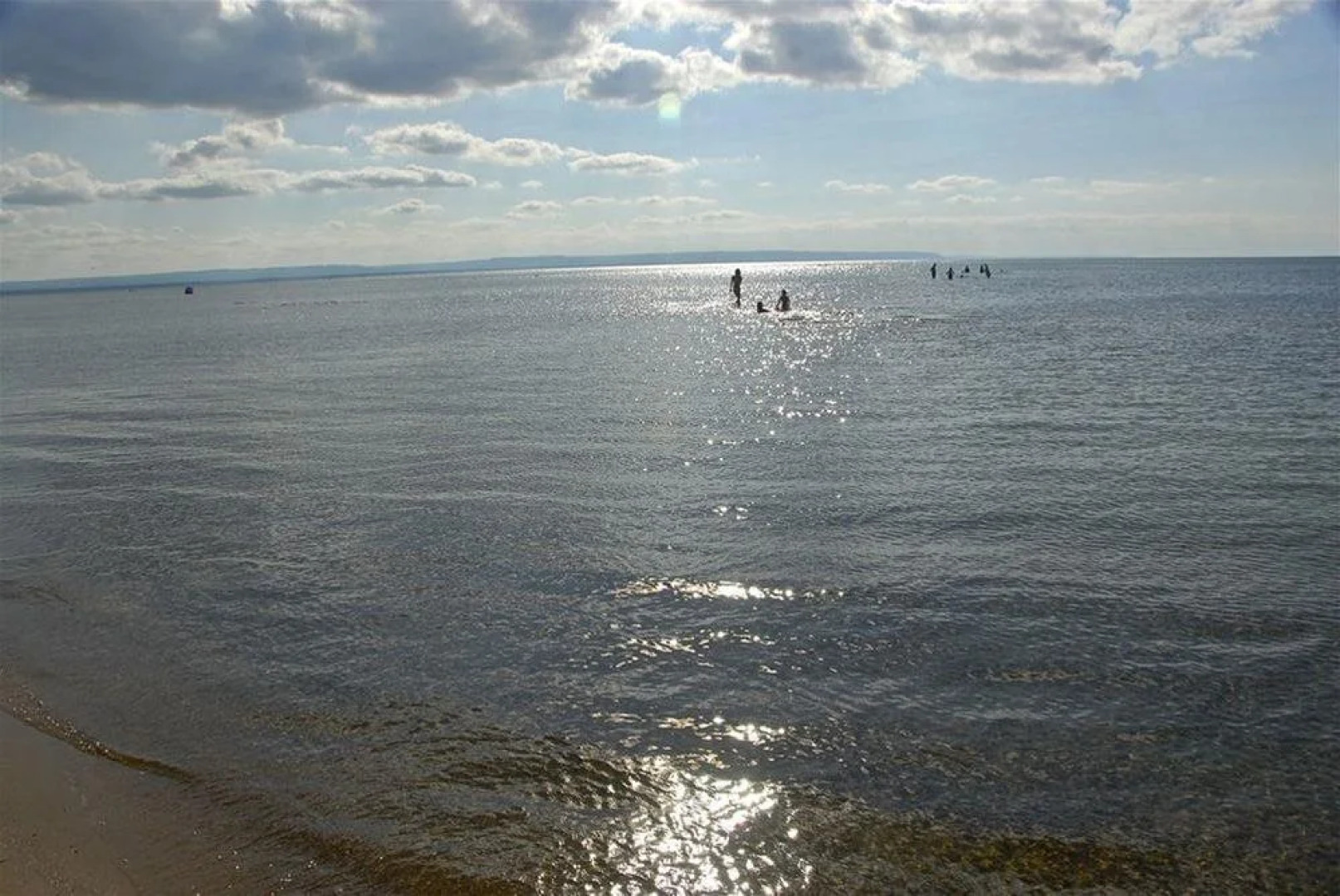 Eider's down Bed and Breakfast