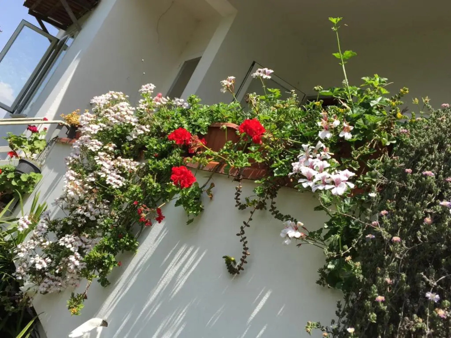 Secret pearl! Amalfi Coast, Pompei & Naples Free parking