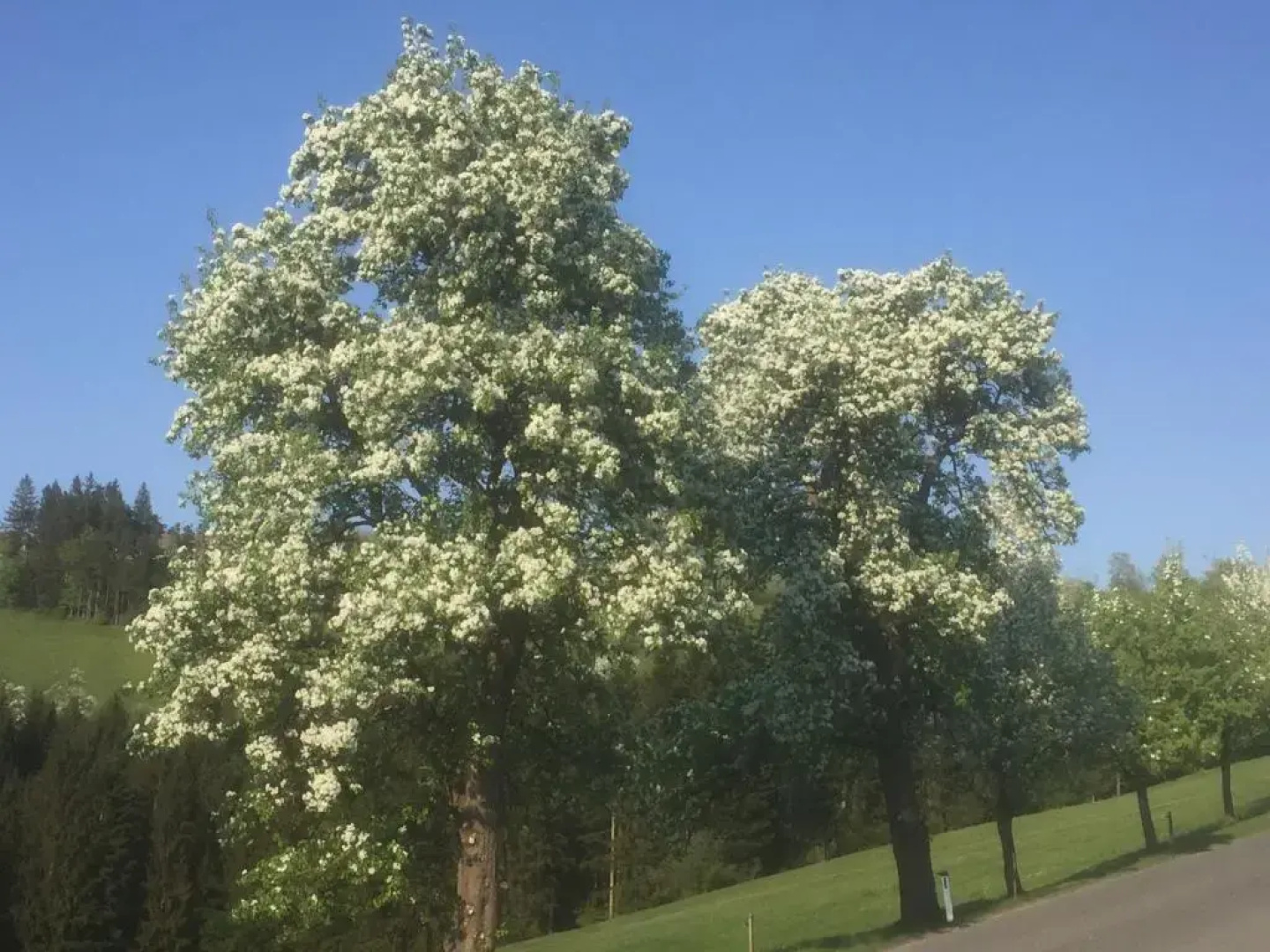 Ferienwohnungen Kössl