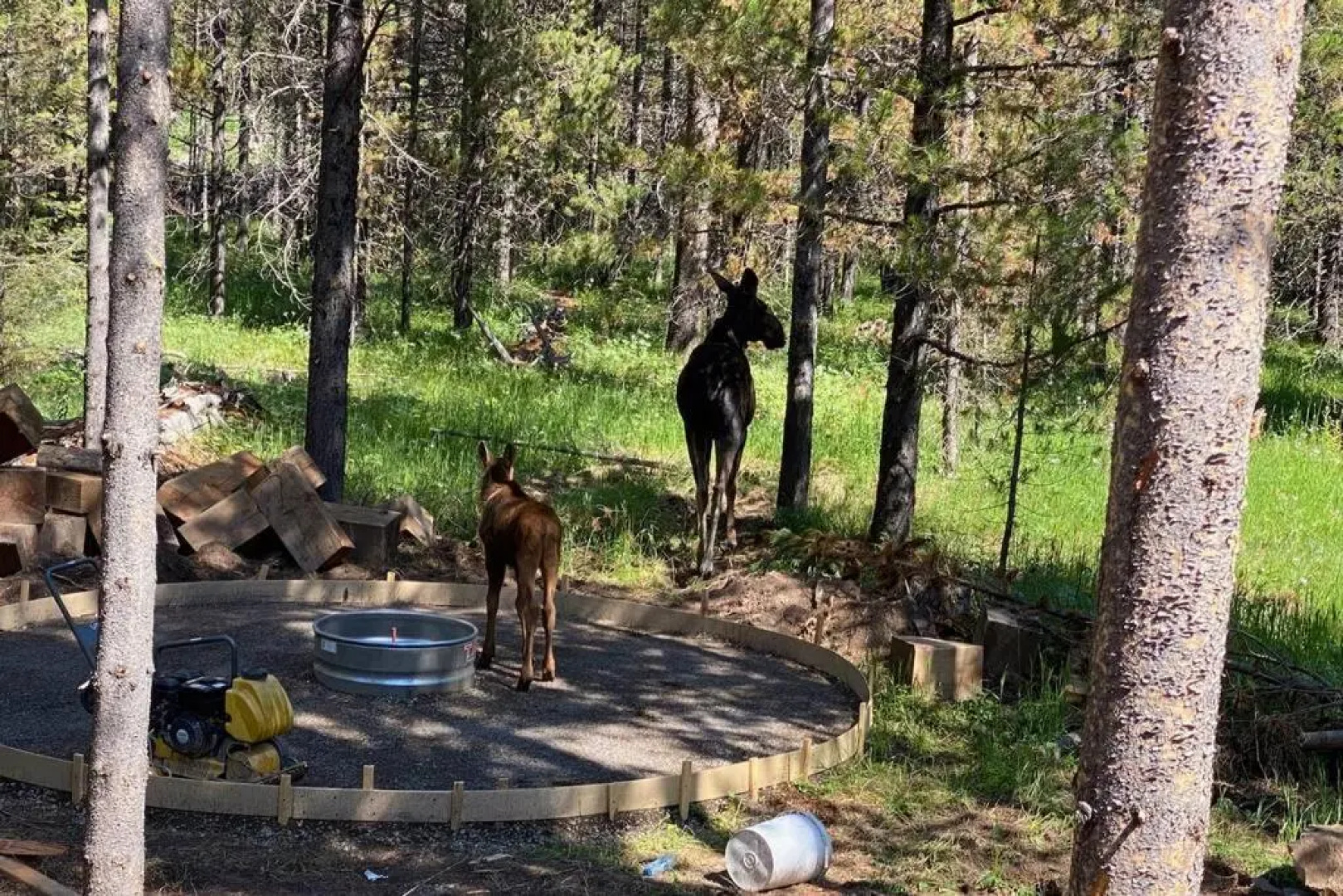 Yellowstone Crossing Lodge
