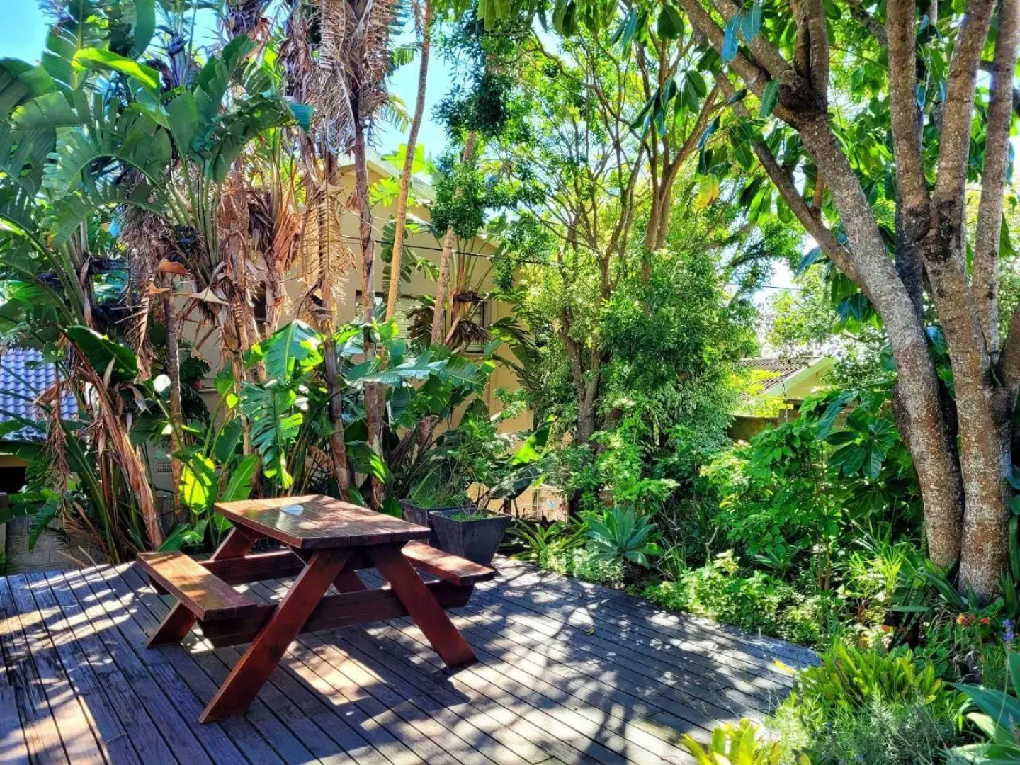 Tropical Seaside Suite 8