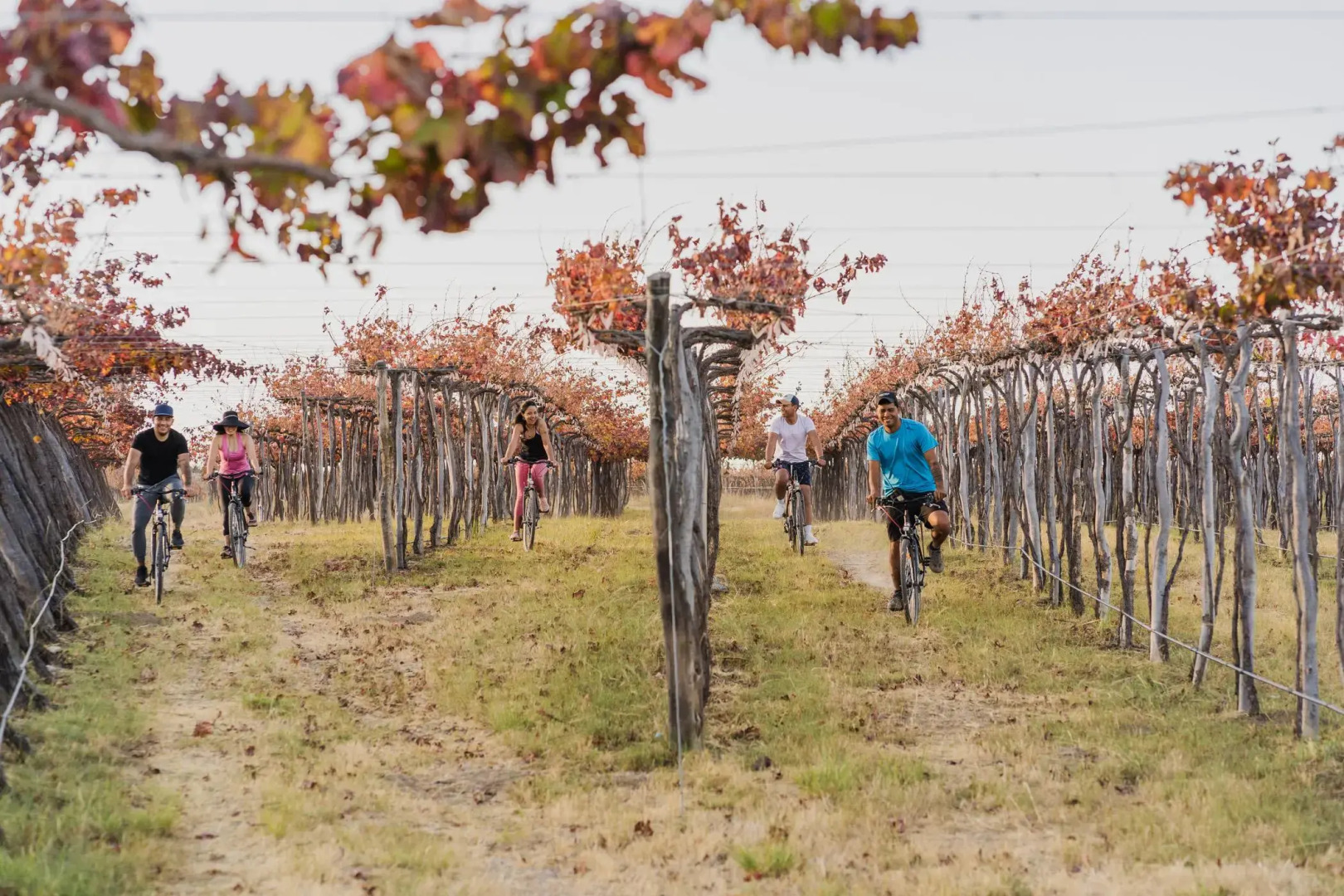 Piattelli Wine Resort