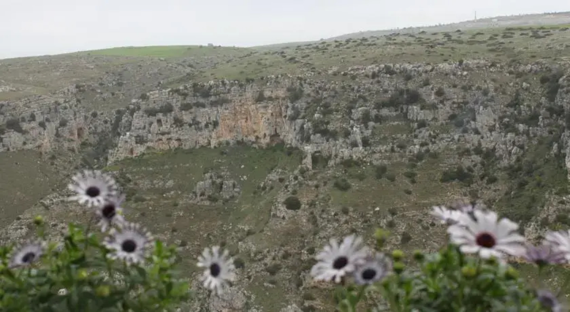 Apartment Biancospino