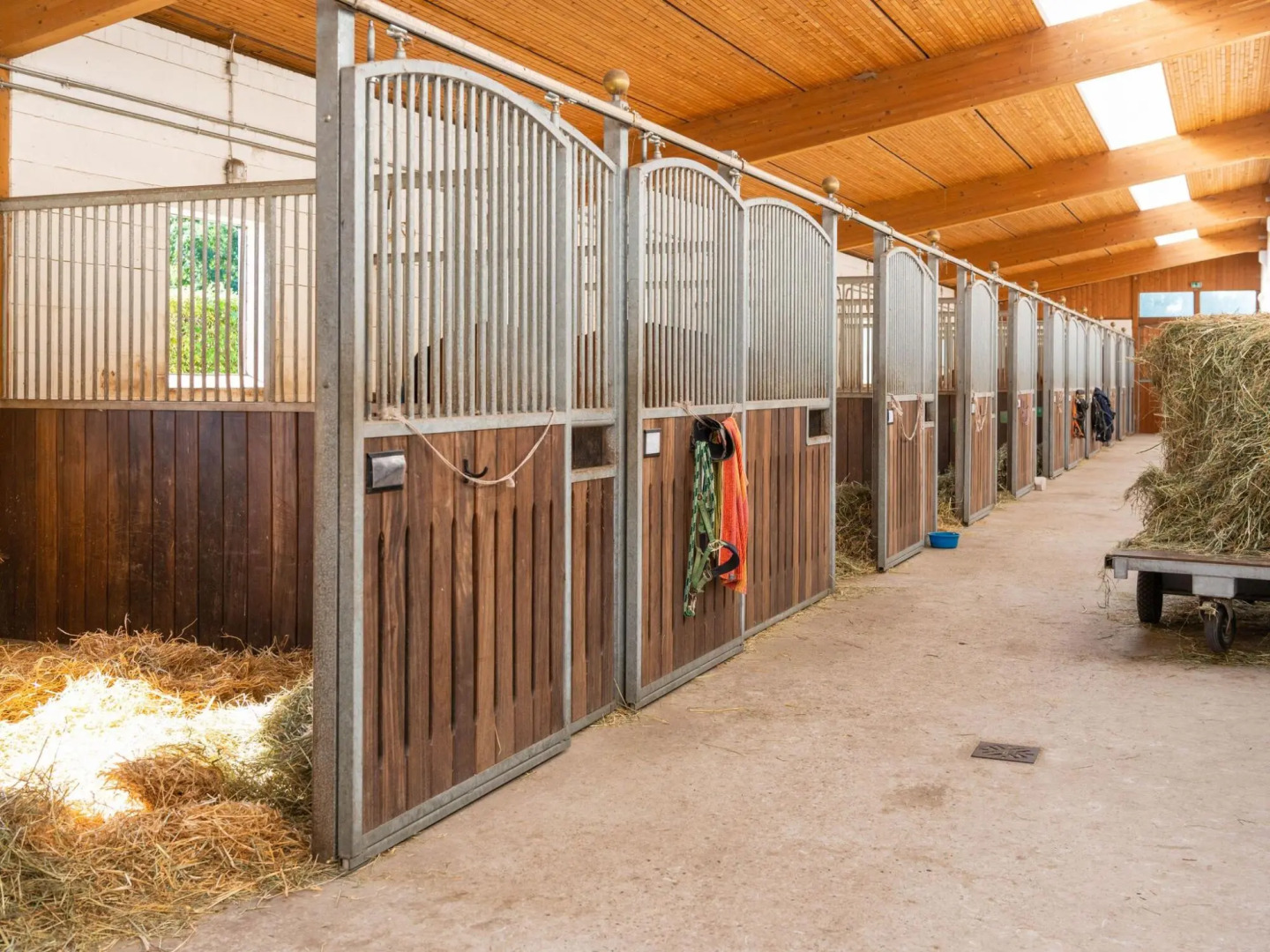 Cozy Holiday Home On The Heidegut In Eschede