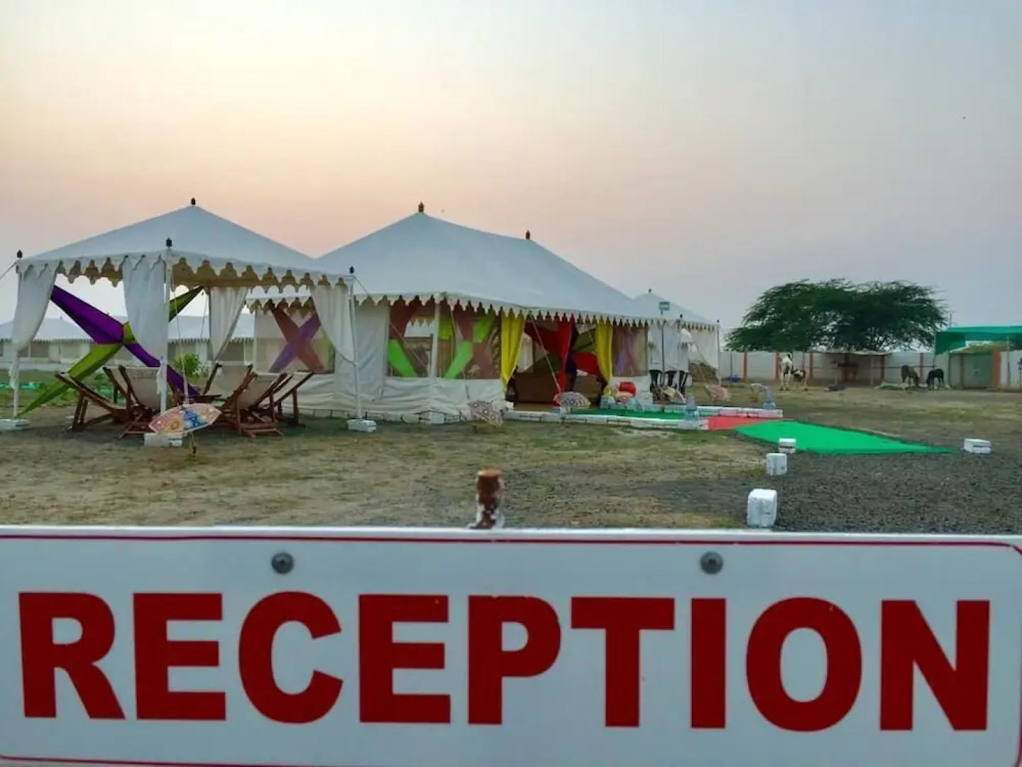Kutch Classic Rider Camp