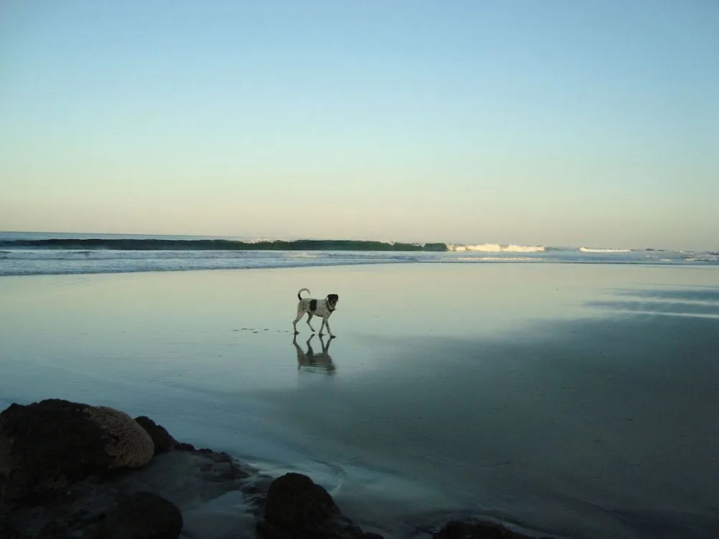 You Imagine Costa Rica Our Location Being on the Beach is What You Imagine