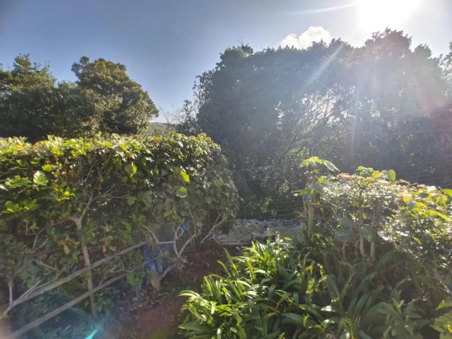 Cozy beach cottage with communal pool