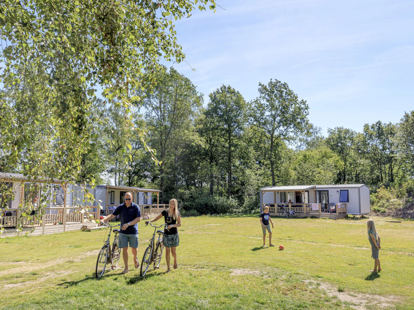 Nice Chalet With AC, on the Drents-friese Wold