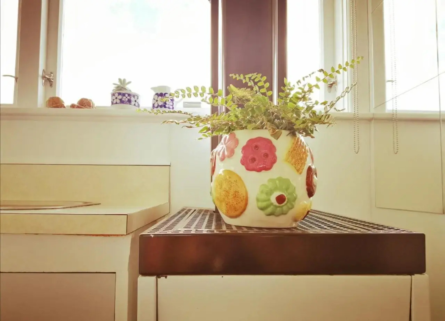 Super Central Cosy Greytown House with Garage