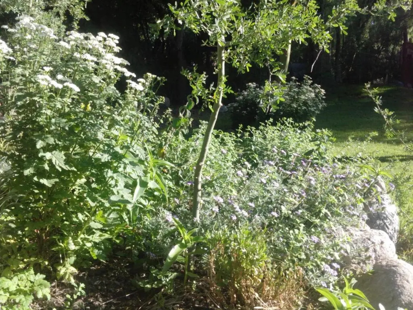 Wilka Pacha - Casas Serranas