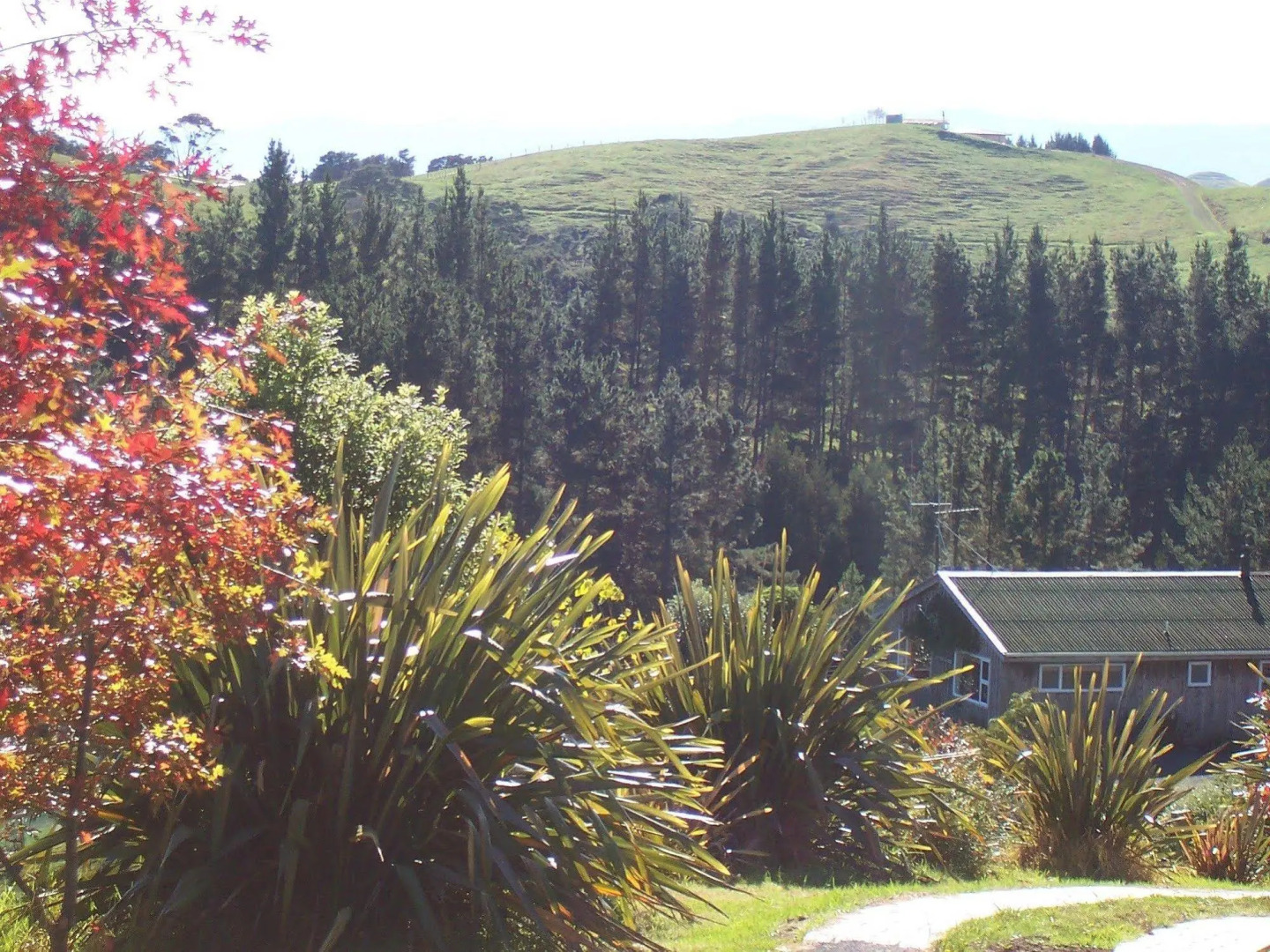 Westwind Homestay B & B