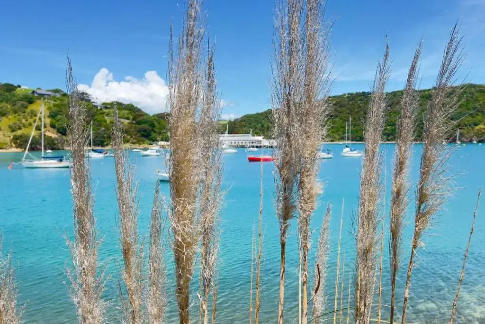 Waiheke Backpackers Hostel