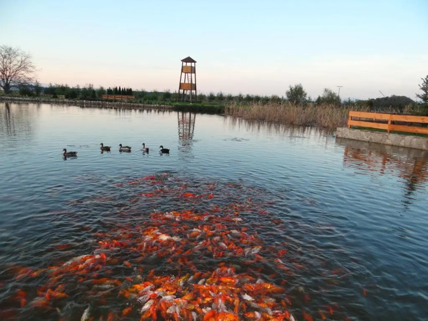 Rybárska bašta a penzión Dobys