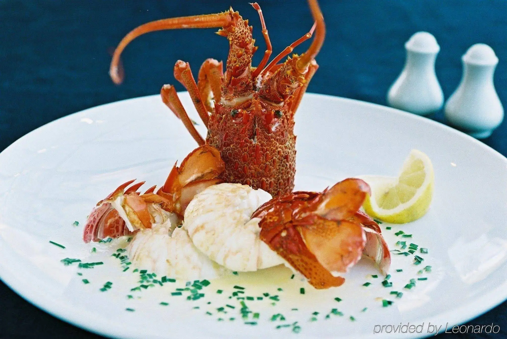 Rutherford Hotel Nelson