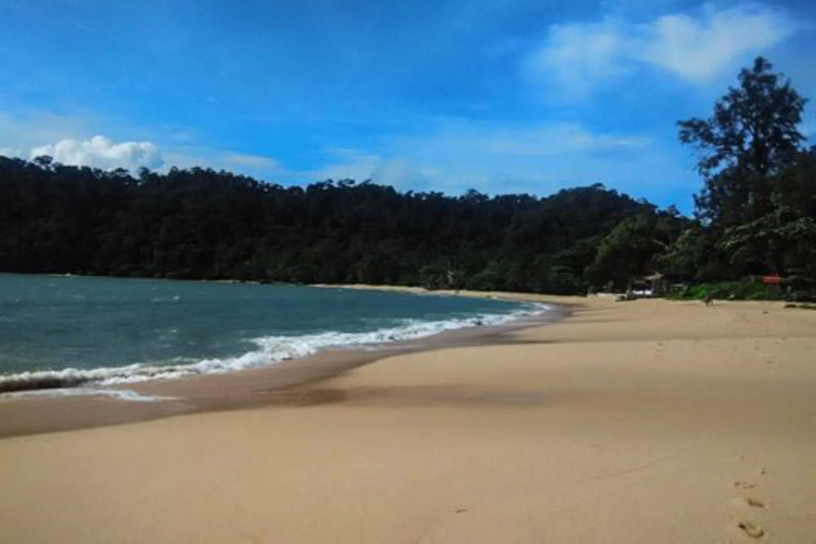 Flower Power Village