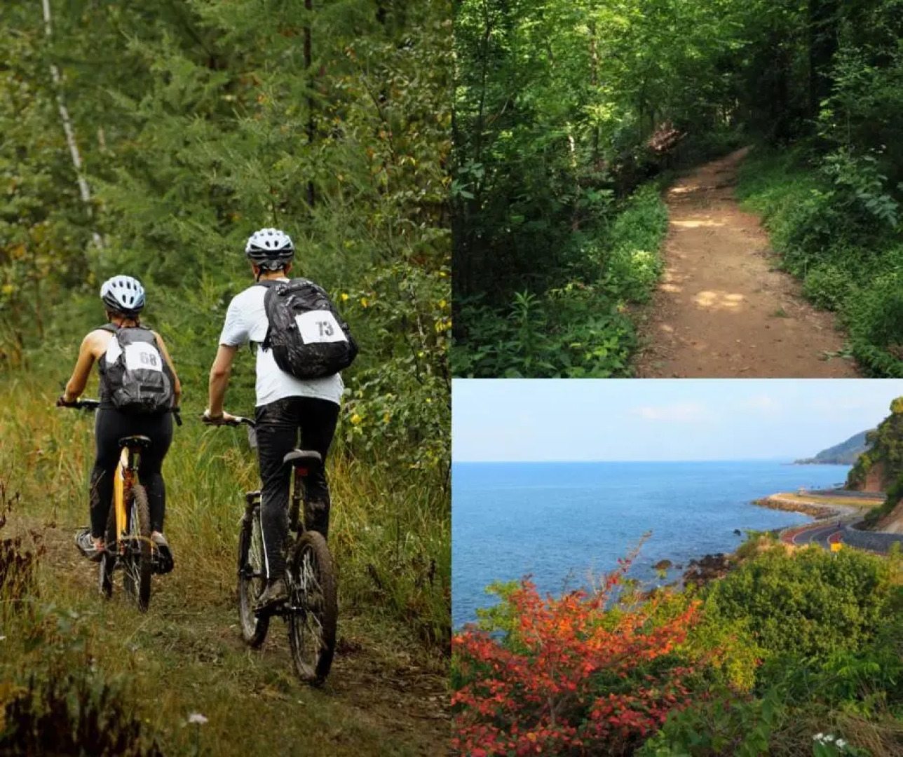 Moderno y acogedor apartamento en el casco histórico