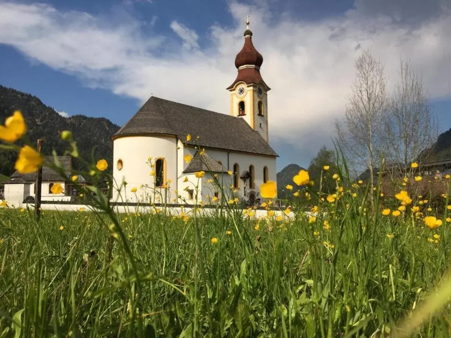 Riegergut - Inh 29569