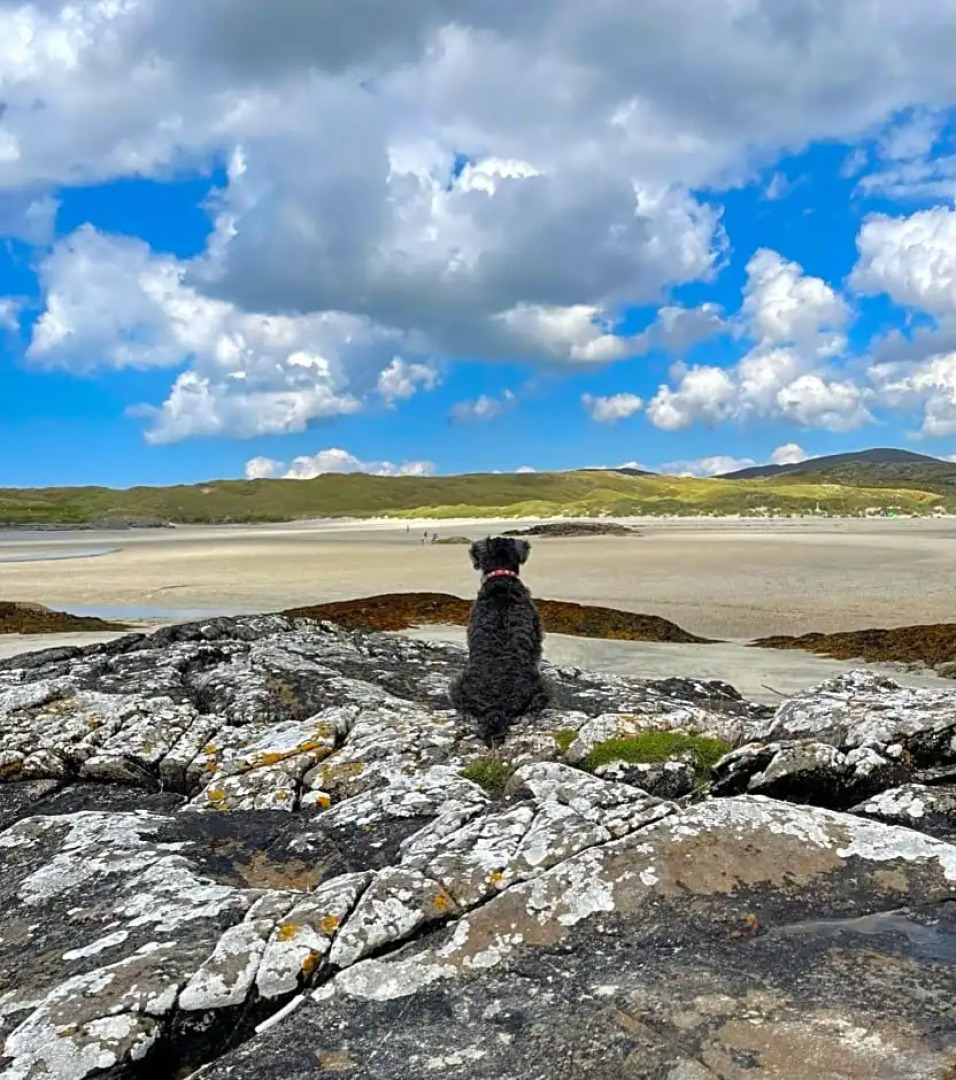 The Garden Room at Sleepy Hollow