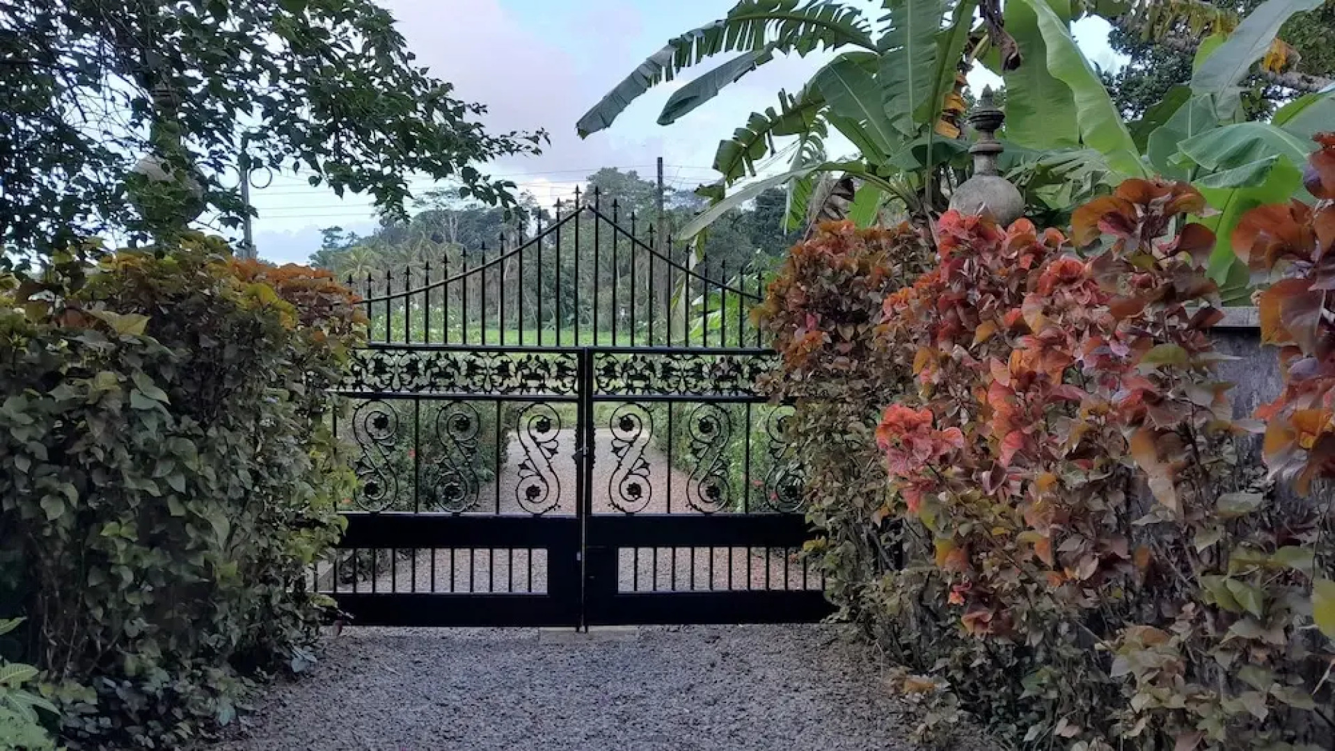 9Provinces Suite 4567