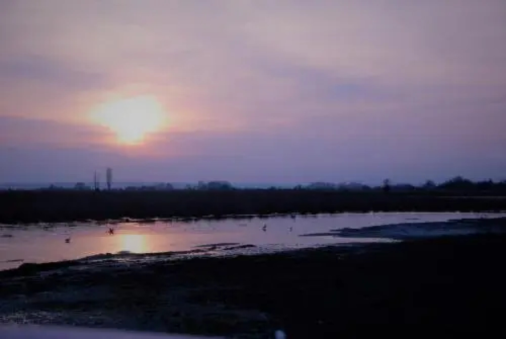 Zehentner - Wein & Feriendomizil