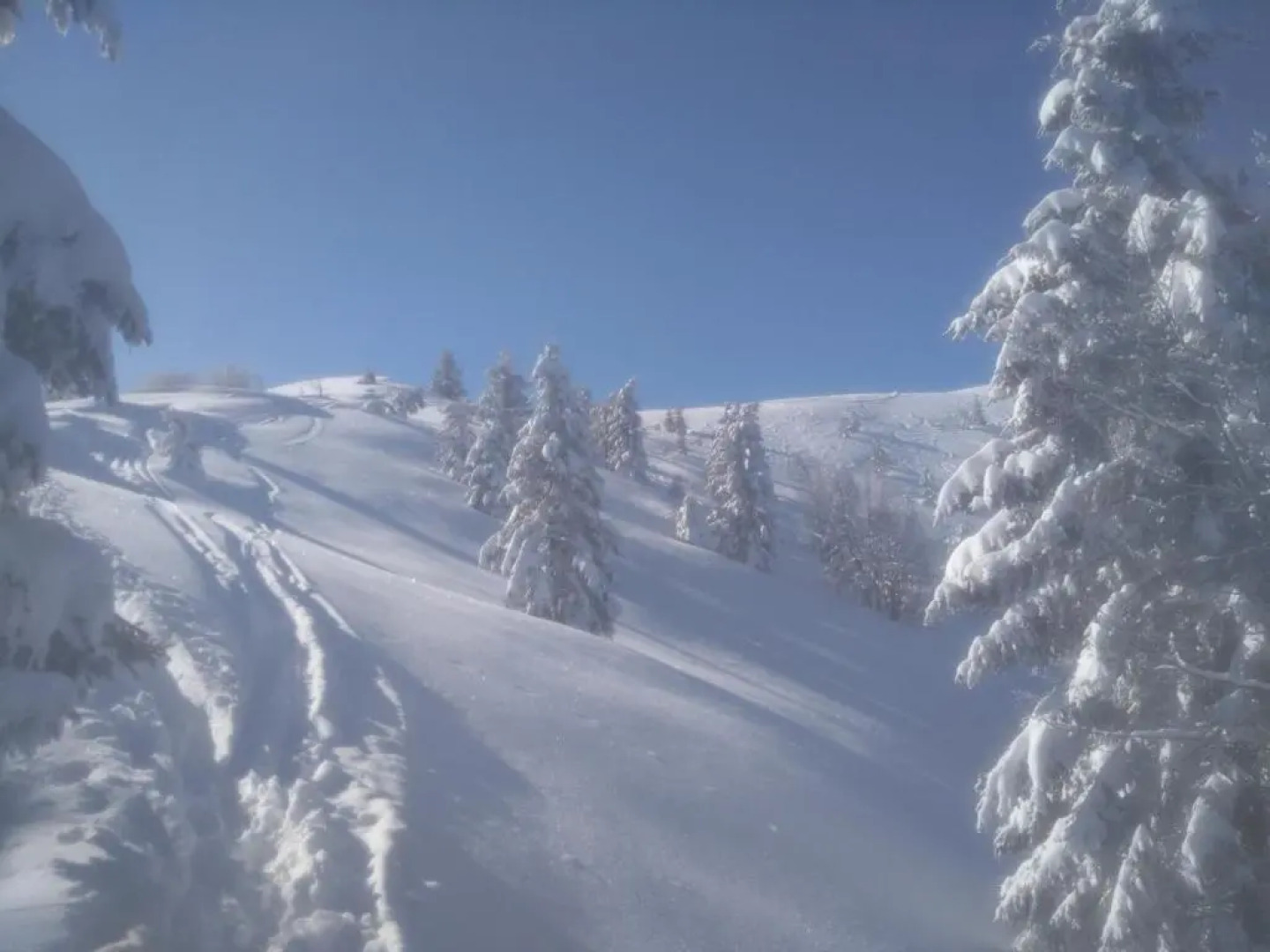 Gostilna Pension Blegoš