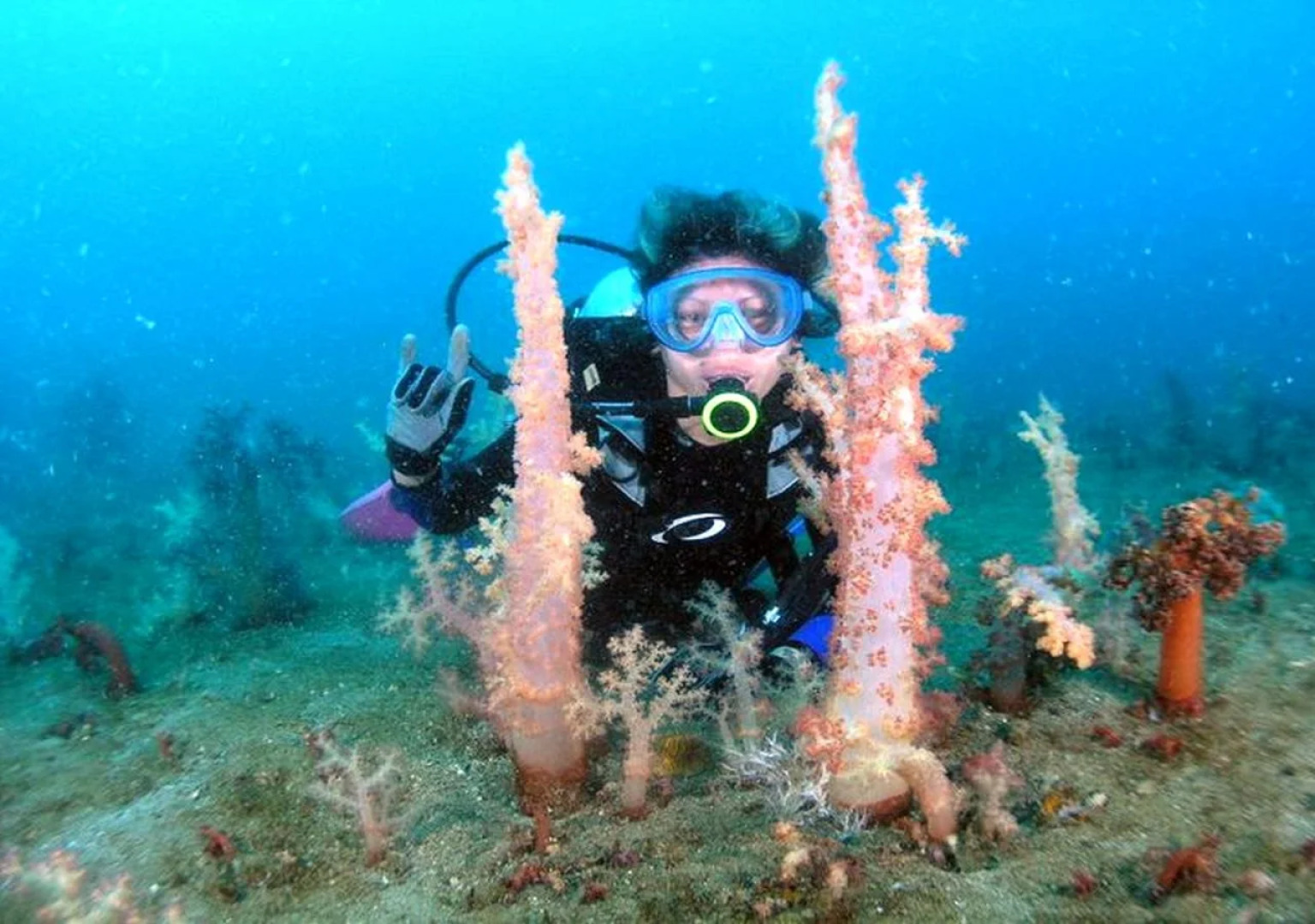 Bentrina Diving Resort