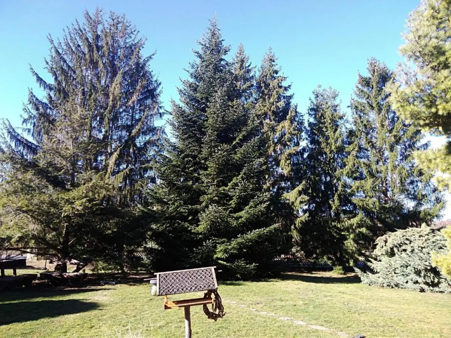 Ferienhaus zum Vogelnest