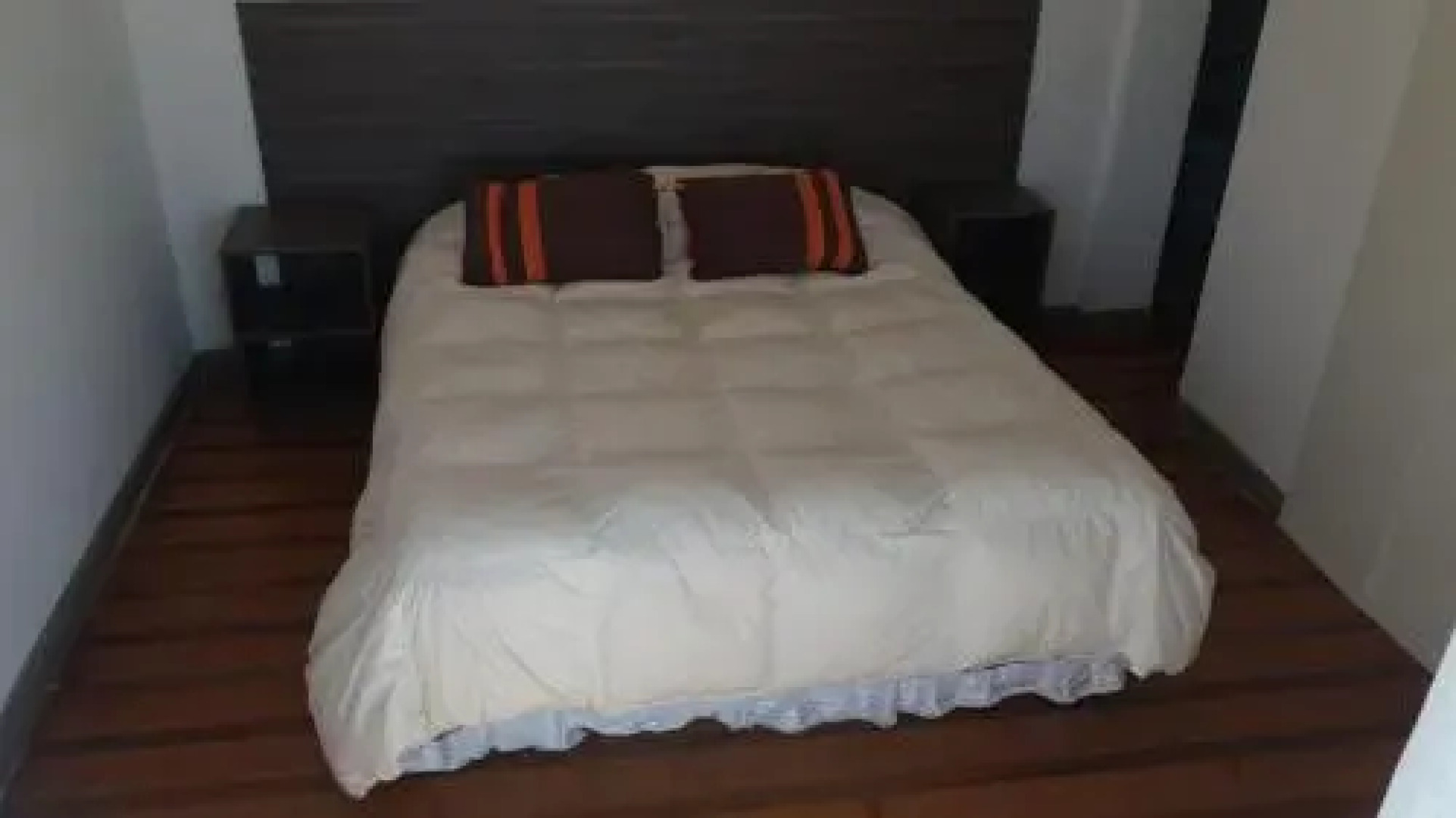 Pingüino En La Roca Cabañas